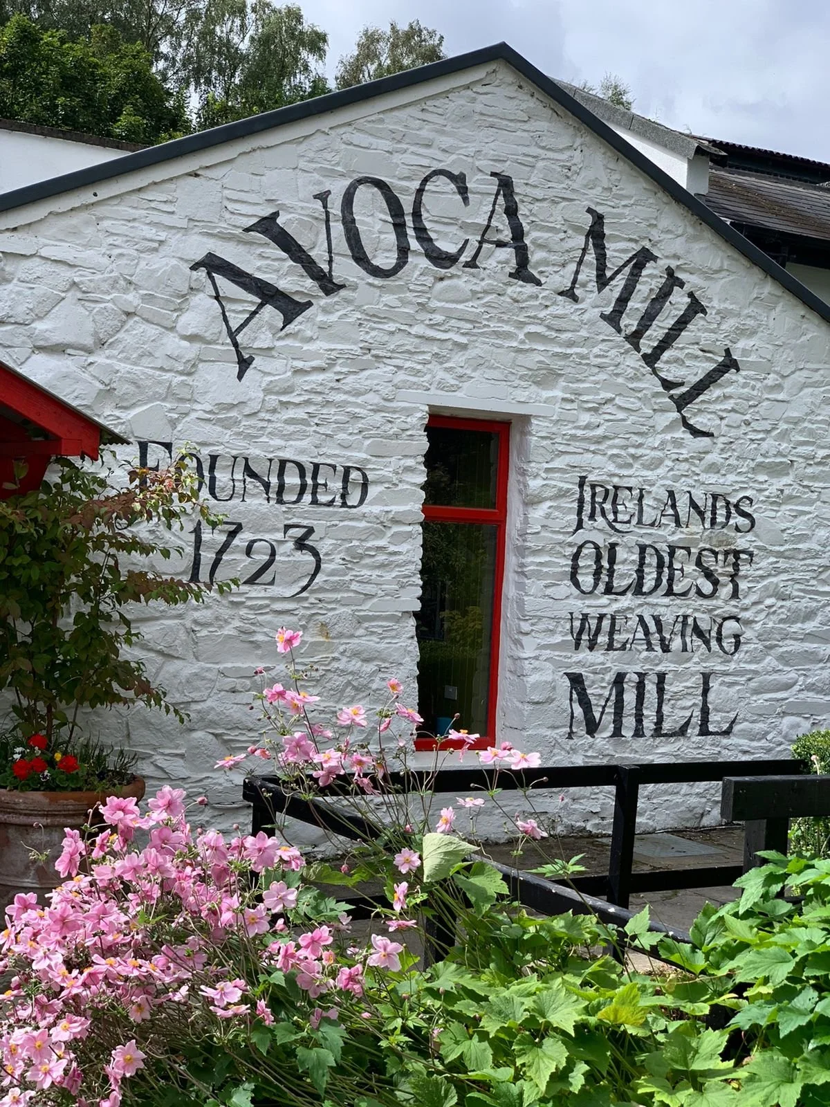 Exploring Wicklow with the Migrant Support Group