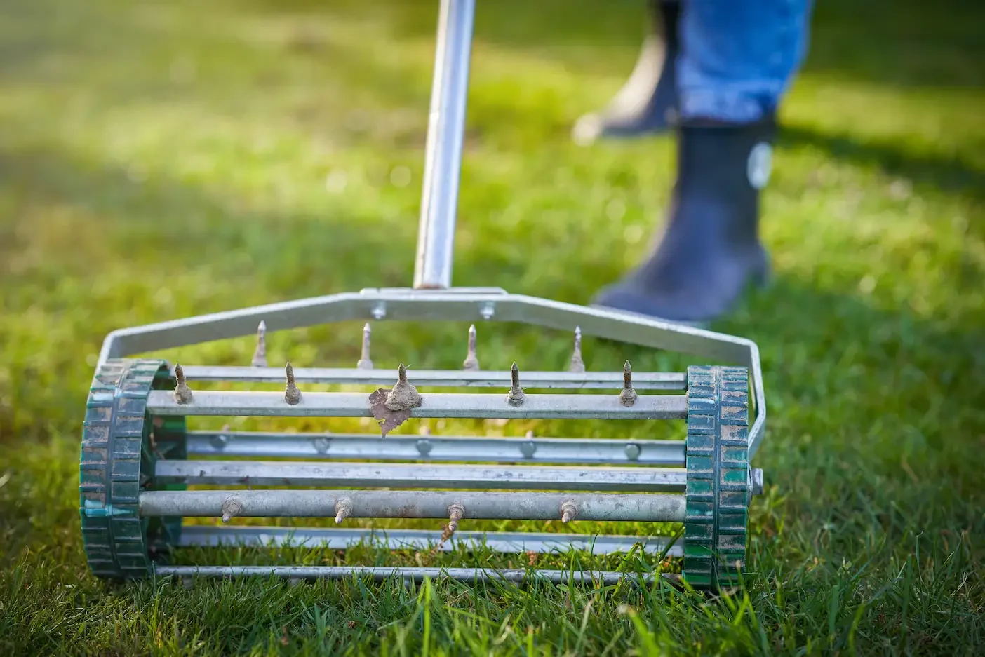 When is the Best Time to Aerate Your Lawn?