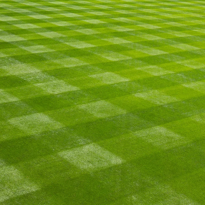 Dependable Lawn Care