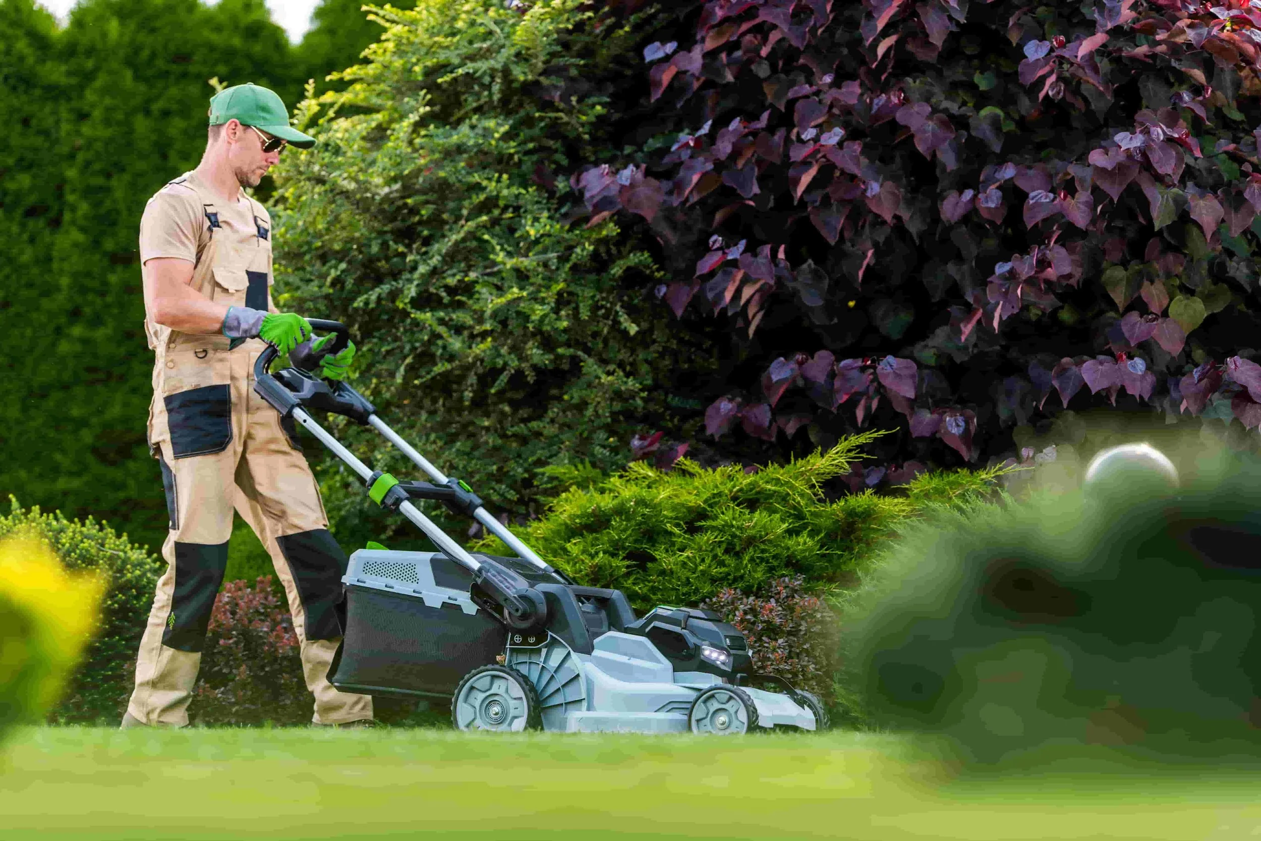 4 Questions to Ask Before Hiring a Lawn Care Company