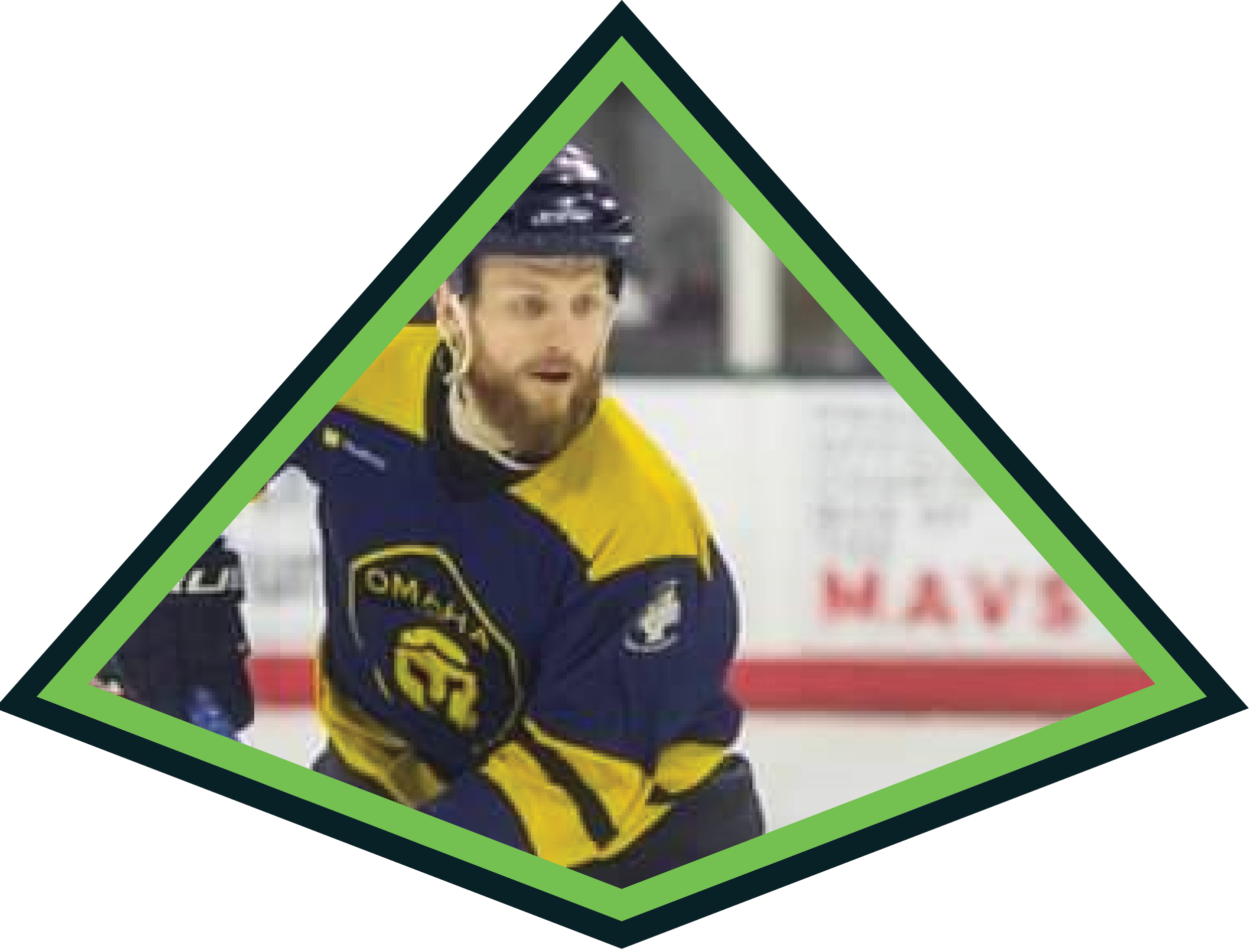BIO triangles3.png