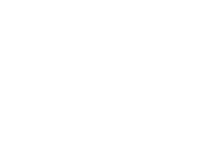 Alpine Restaurant Group