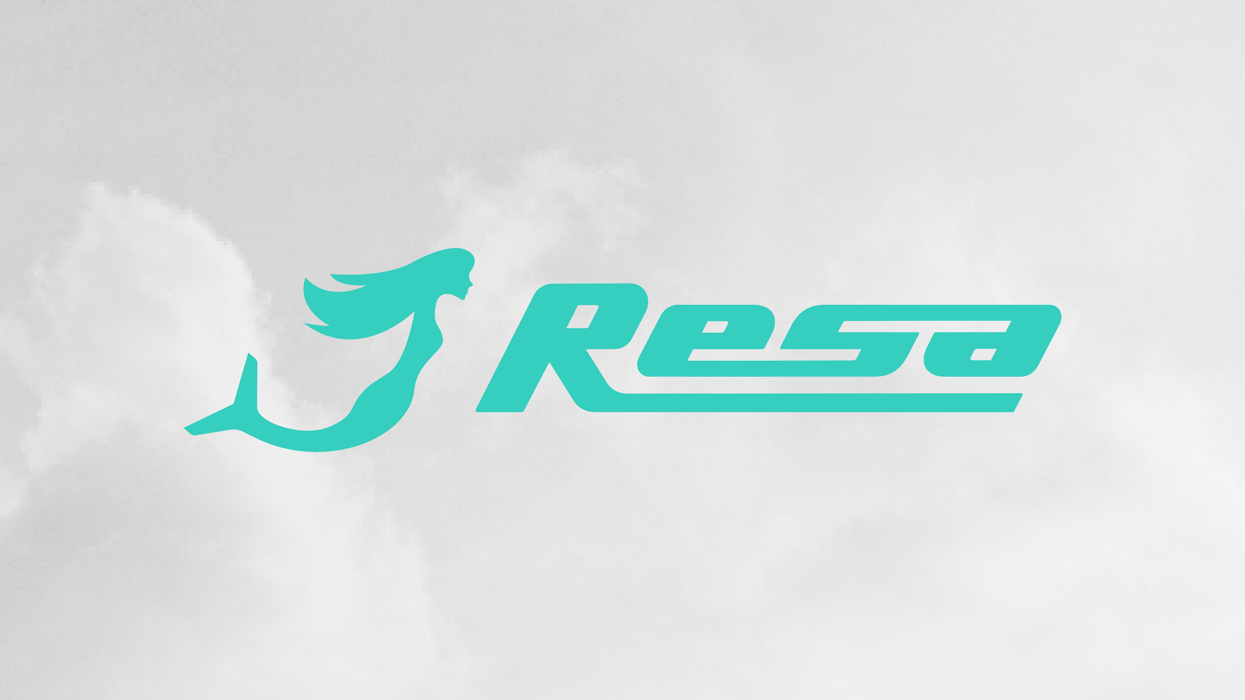 Resa Airlines — Resa Presentaion 01