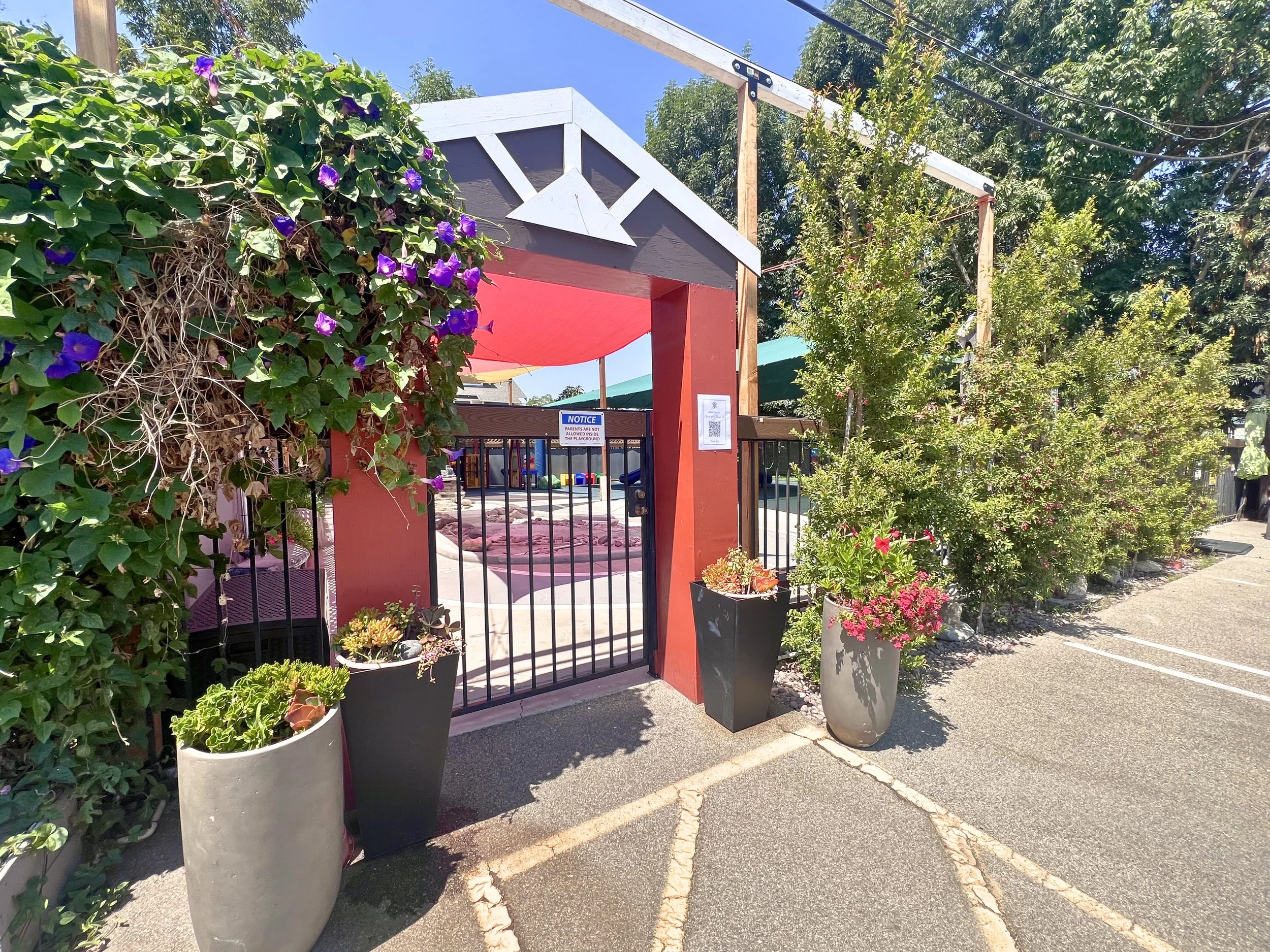 A playground entrance with a red and black gate surrounded by large planters with various green and flowering plants. There is a sign on the gate reading a notice, and a canopy overhead with purple flowers on the left side and trees in the background