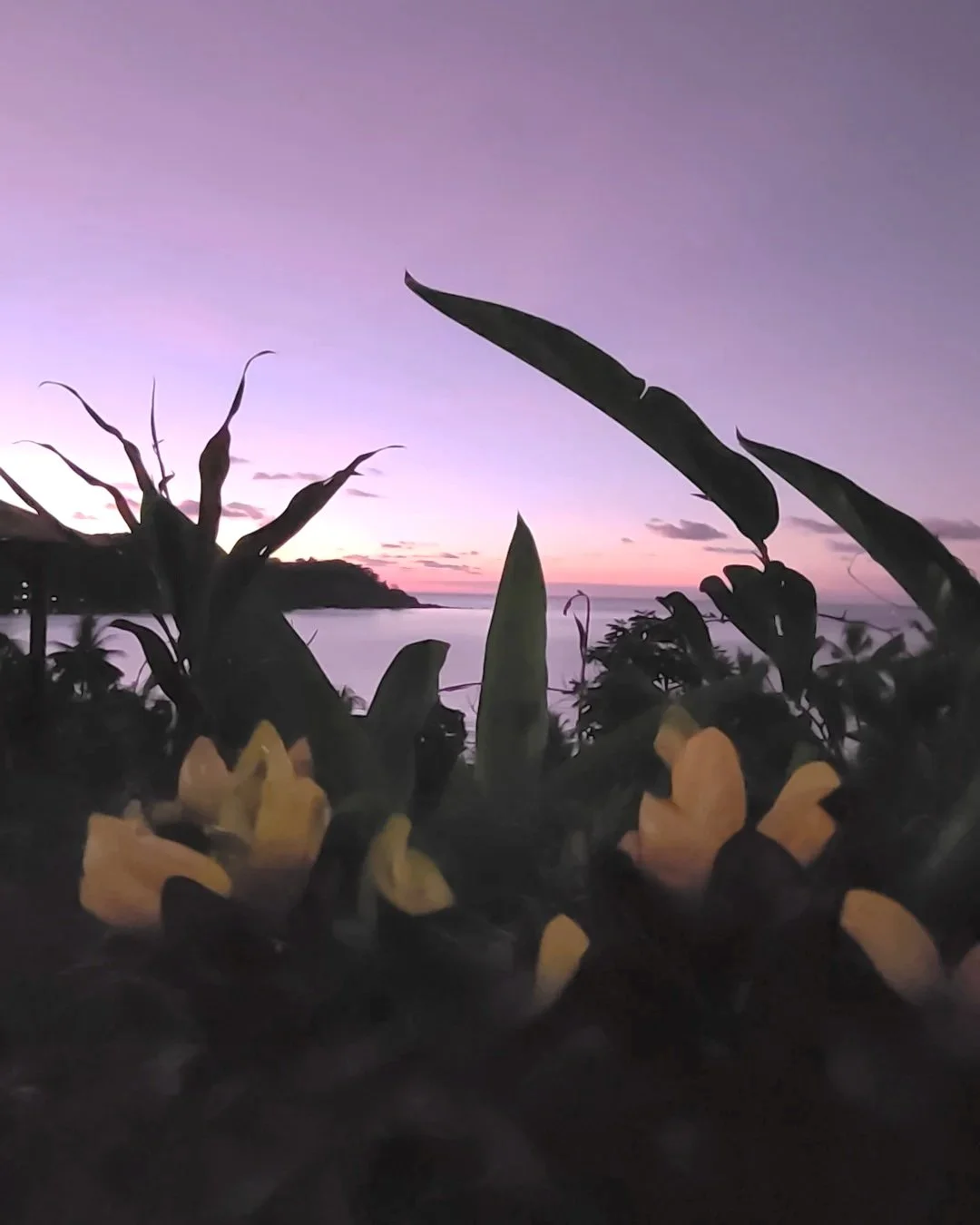 Drake+Bay+Sunset.jpg