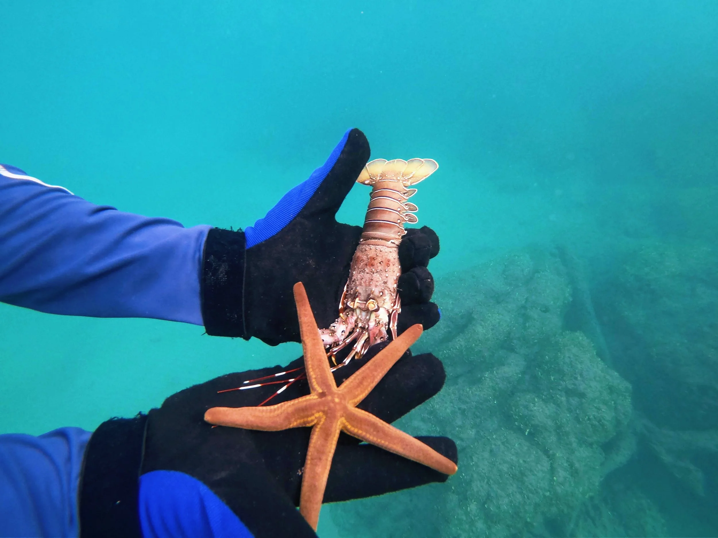 Snorkeling at Flaming Bay.jpg
