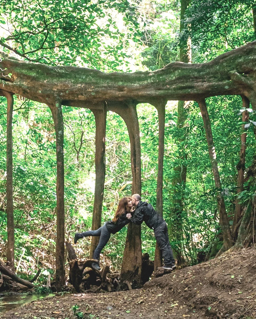 A couple kissing in a lush green forest, standing on a small mound of dirt surrounded by trees and foliage.