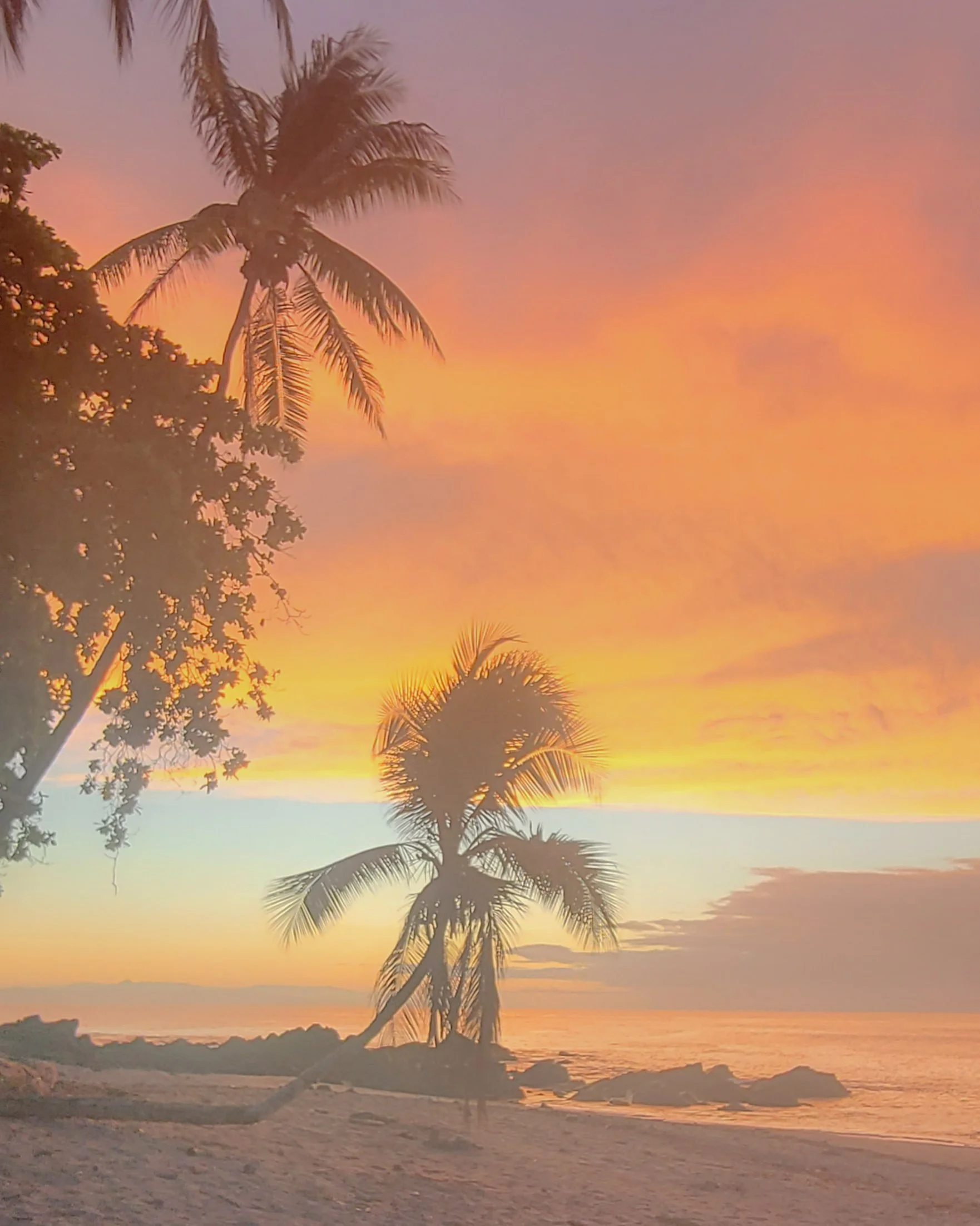 A tropical beach scene at sunset with silhouetted palm trees and colorful sky.