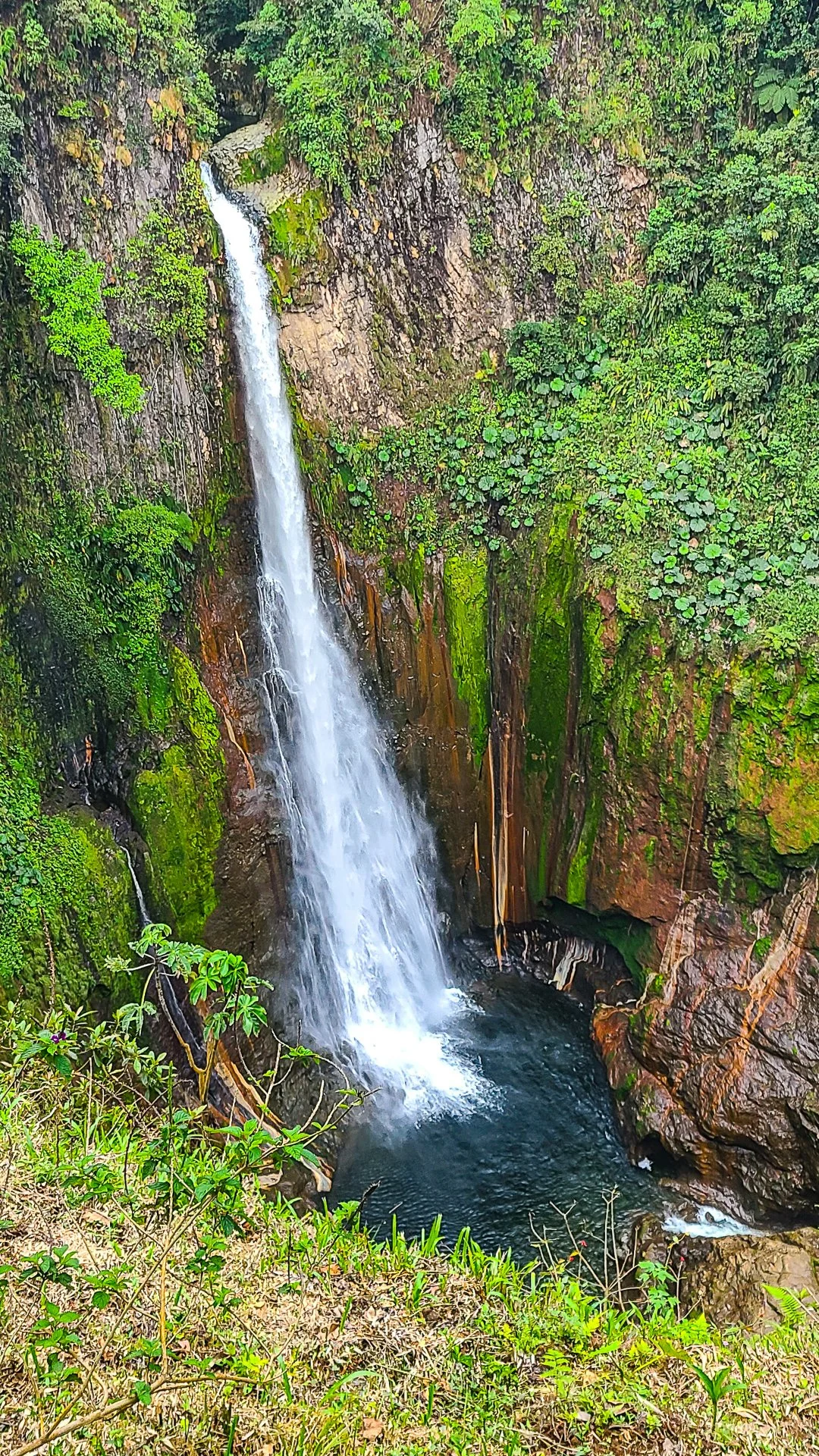 CATARATA DEL TORO-COSTA RICA