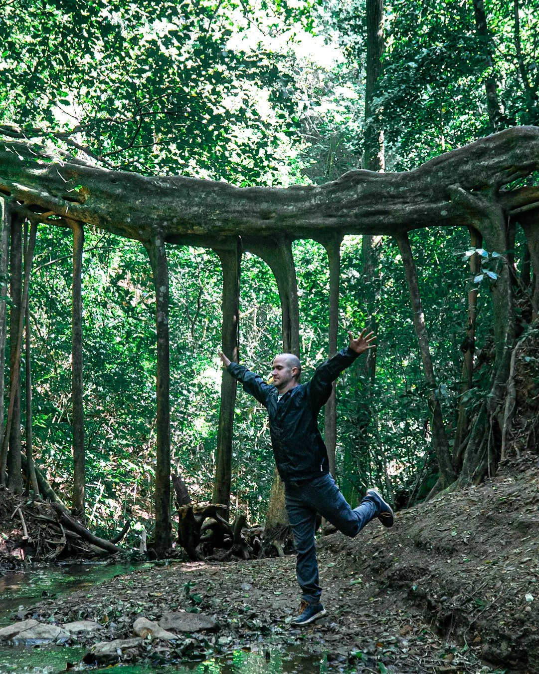 A man in a black jacket and jeans standing on one leg with arms outstretched in a lush green forest near a small stream, with large tree roots and hanging vines surrounding him.