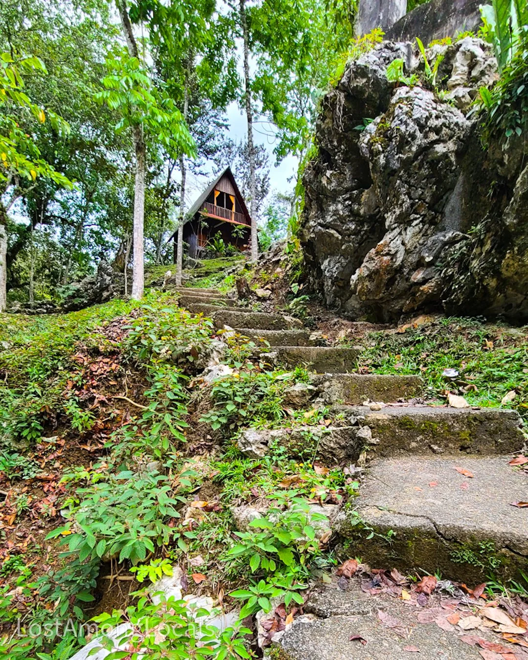 A stone pathway with stairs ascending through lush green foliage toward a wooden cabin on a hillside, surrounded by trees and rocks.