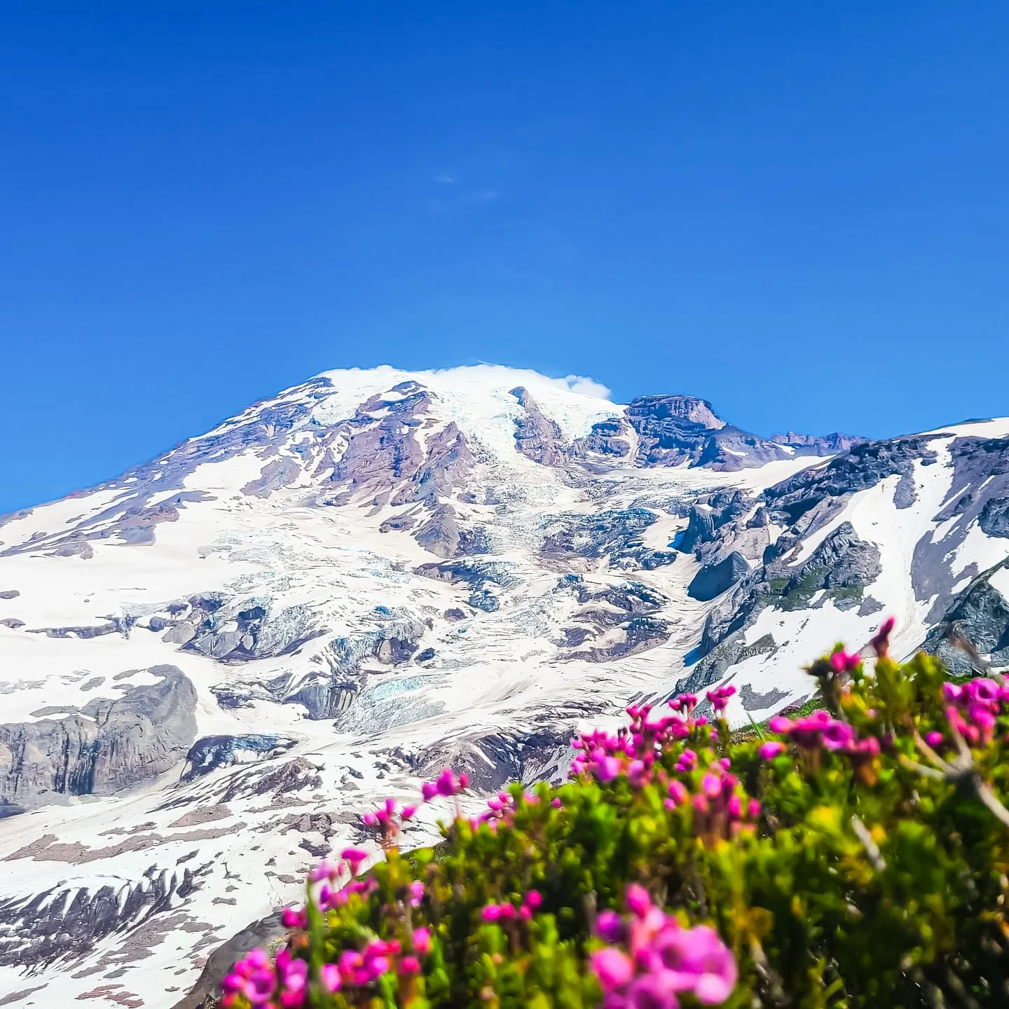 MOUNTAIN RAINIER
