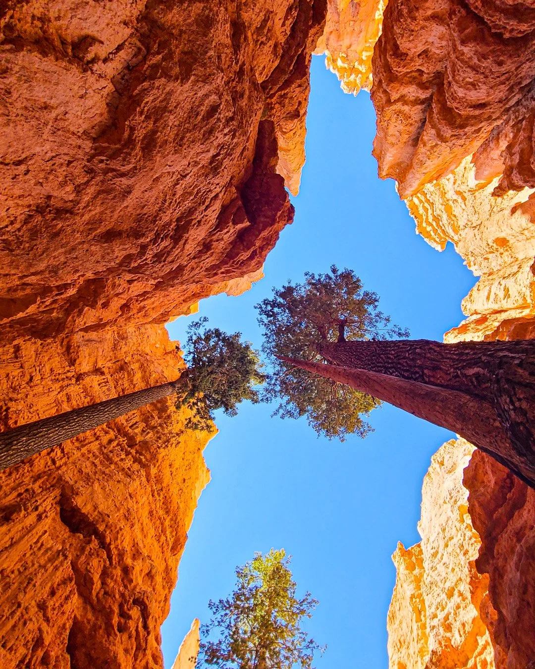 BRYCE CANYON