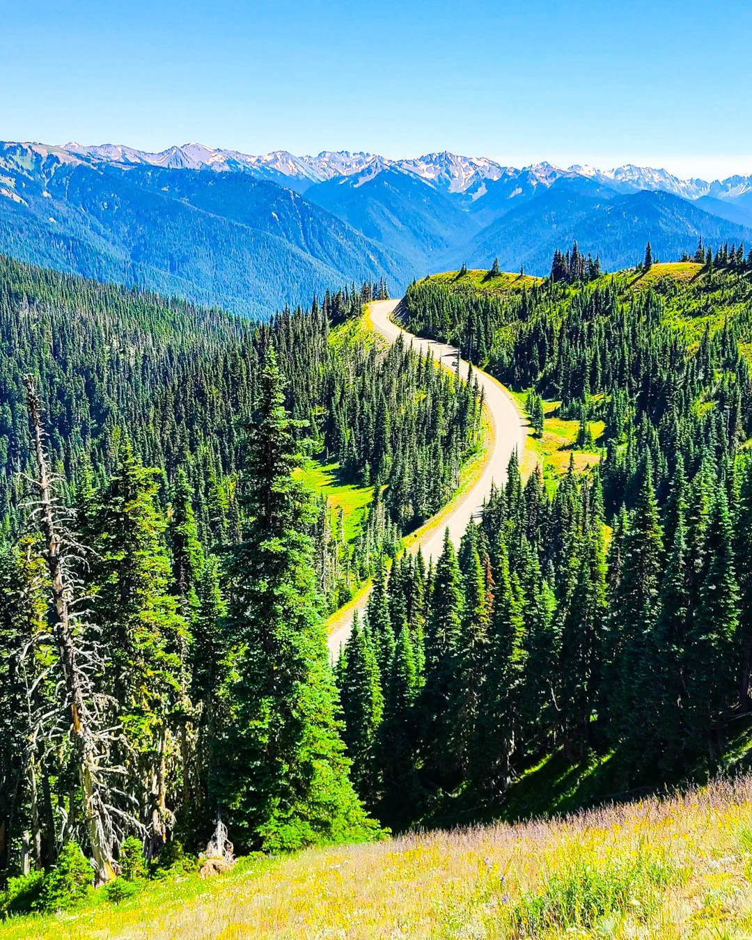 OLYMPIC NATIONAL PARK