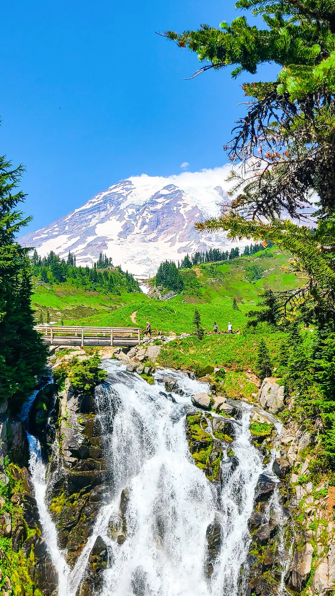 MOUNT RAINIER