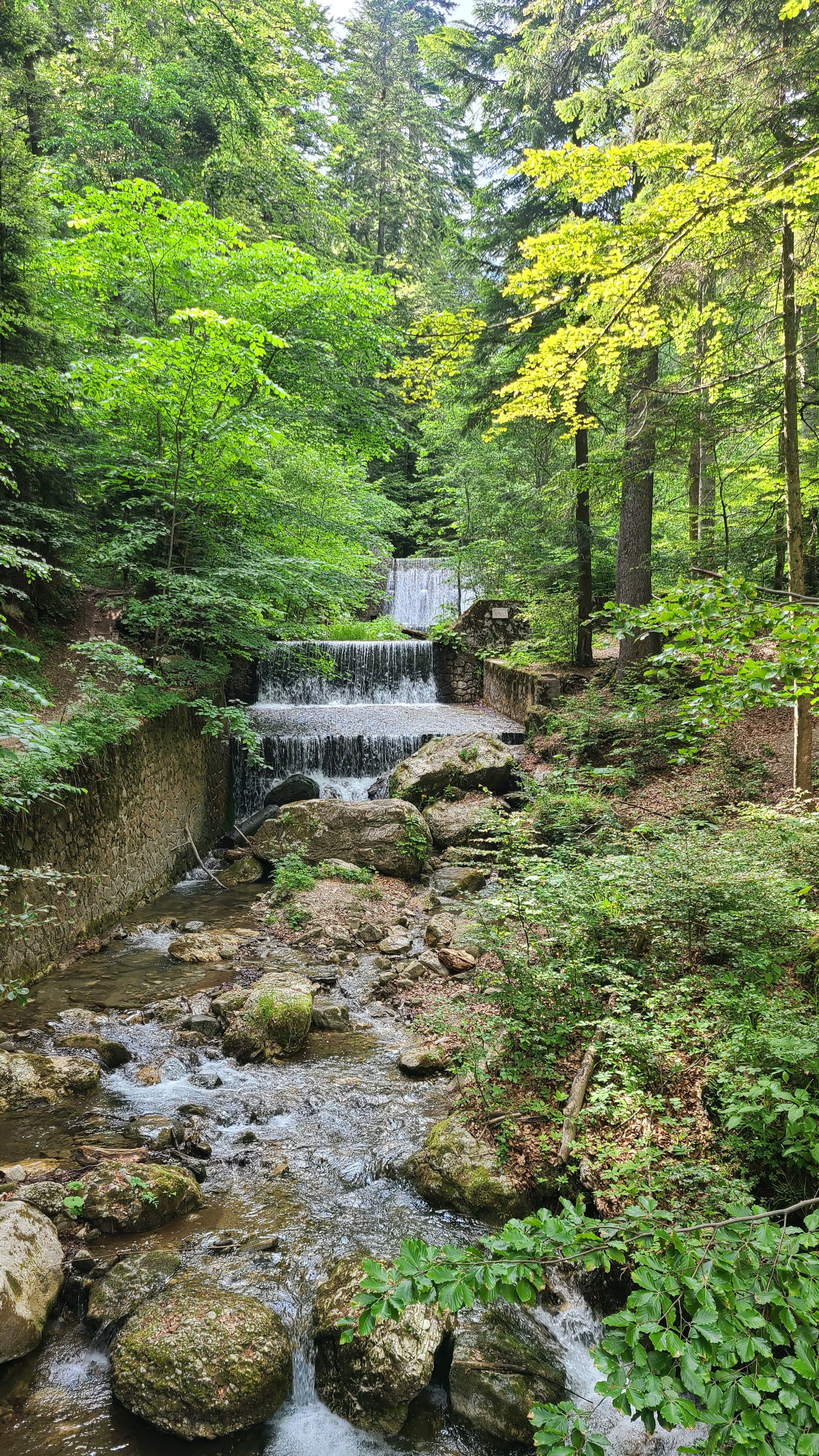 20220625_164154.jpg