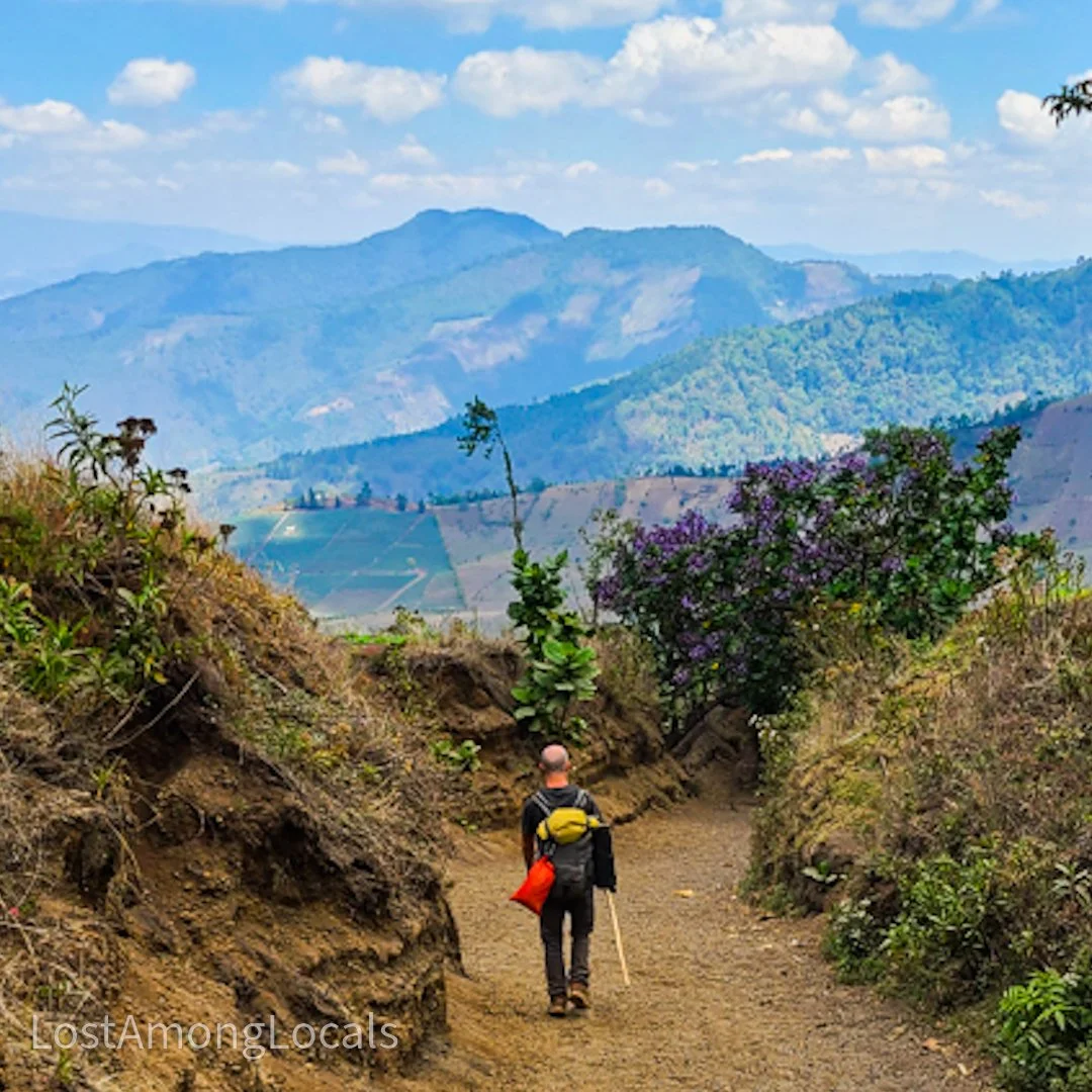 A person with a walking stick and backpack hiking on a dirt trail through a hilly landscape with colorful wildflowers and green bushes, mountains in the background under a partly cloudy sky.