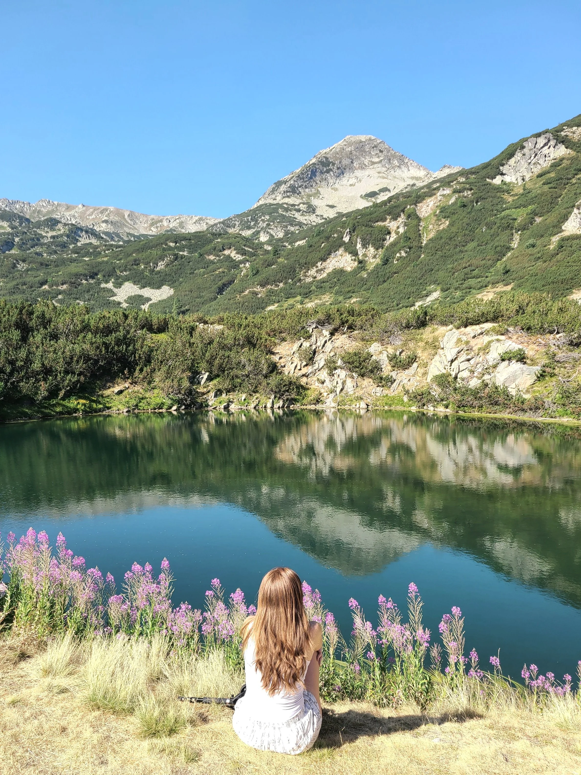 A girl with long brown hair sitting on the grass near a lake surrounded by purple flowers, with mountains and a clear blue sky in the background.