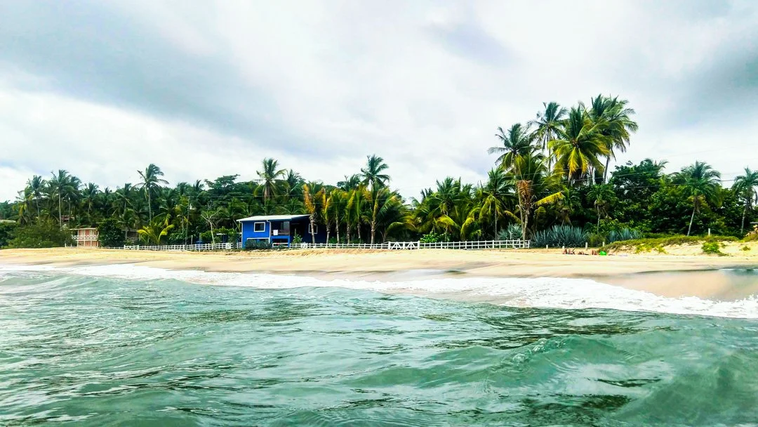 lush jungle beach with small beach shack and green waves