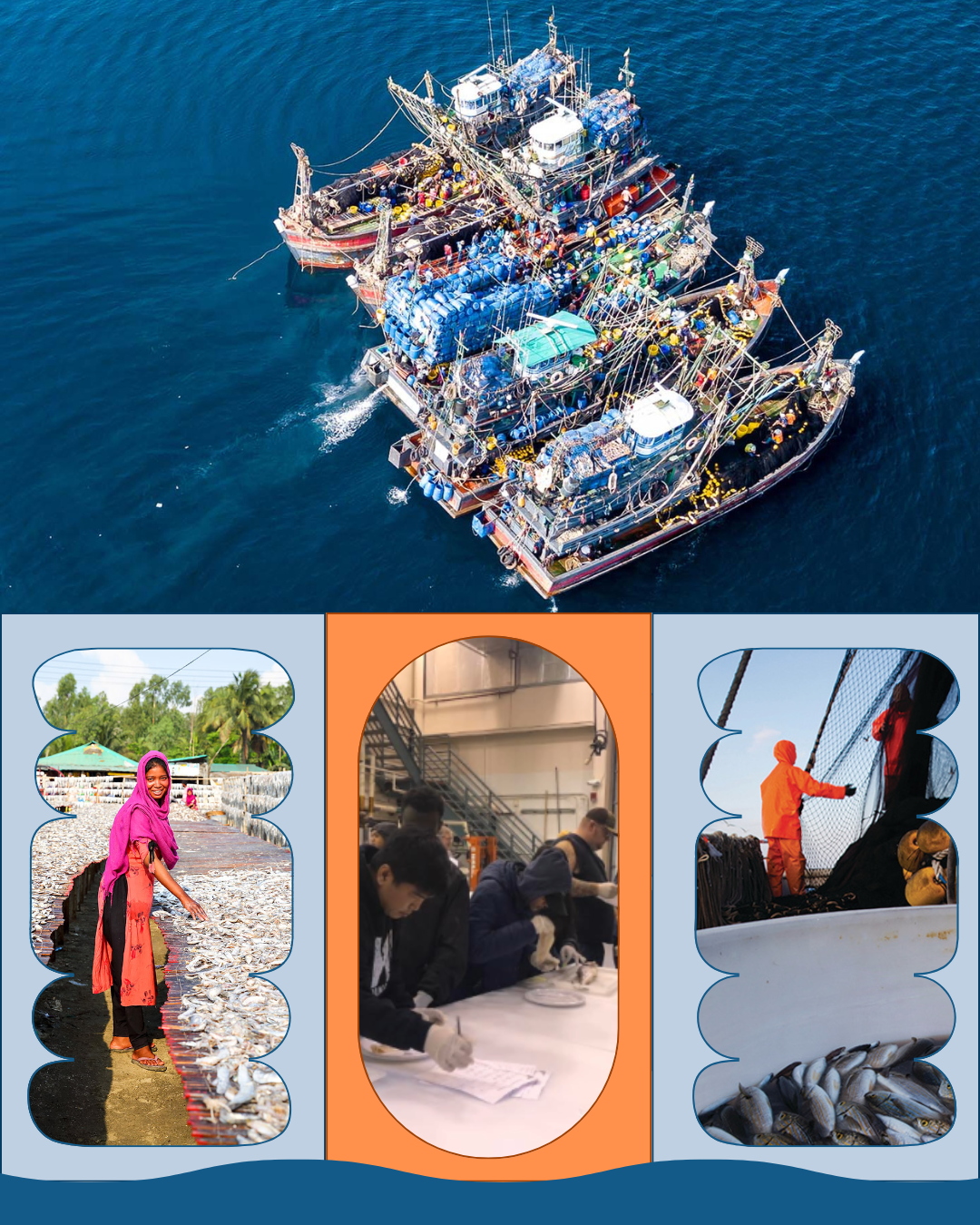 Parymon Corp Awarded NOAA NMFS Contract to Support International Fisheries, Trade, and Sustainability Programs