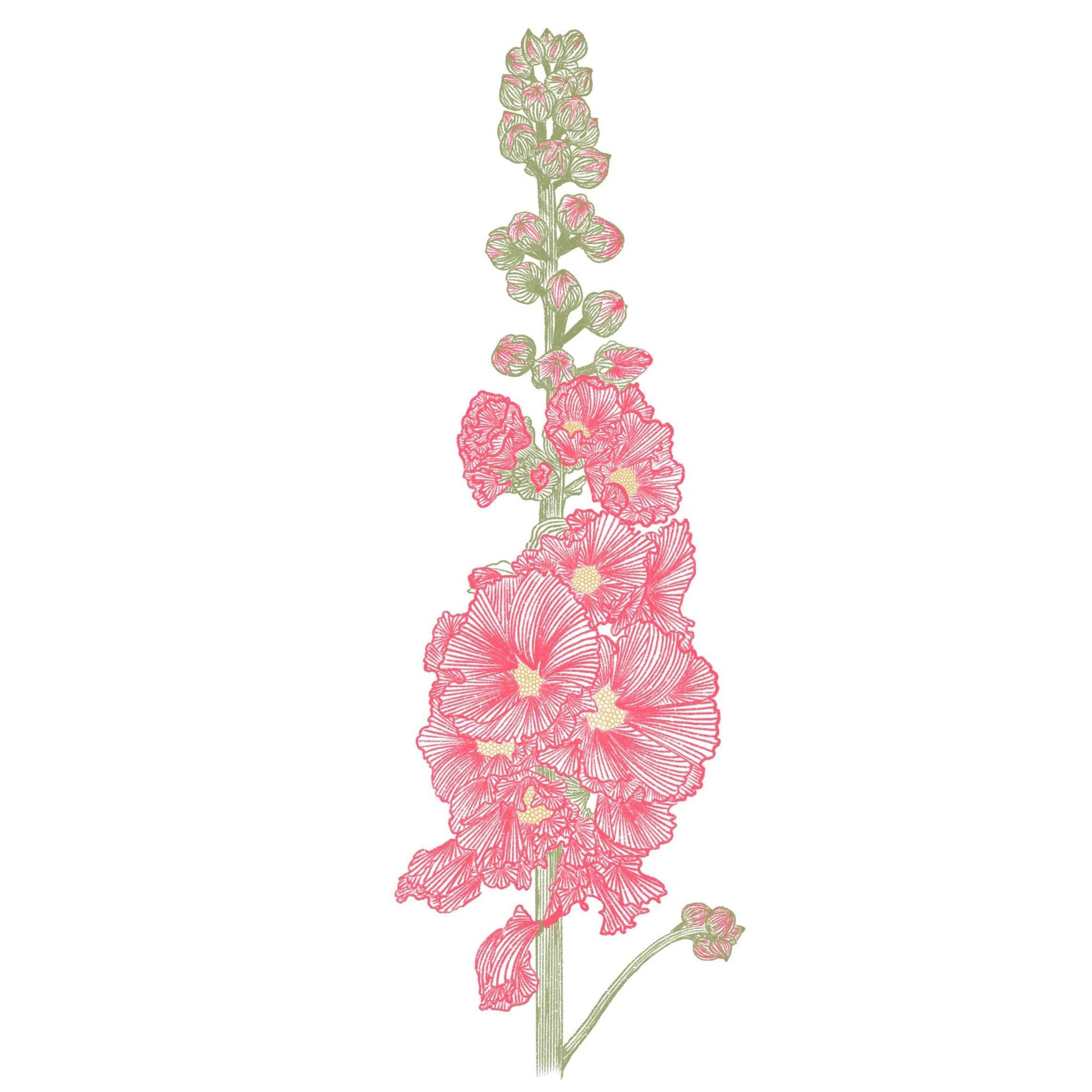 Electric+Eye+Surface+Pattern+Design+Sketched+HollyHock.jpg