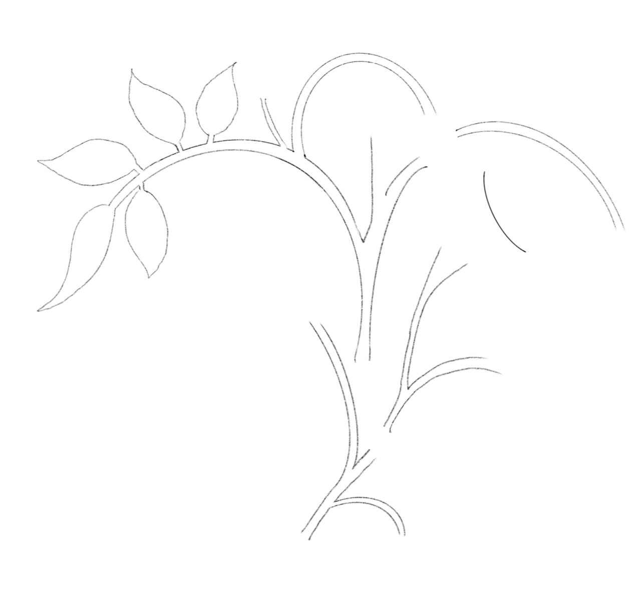 Outline drawing of a plant with leaves and flowers.