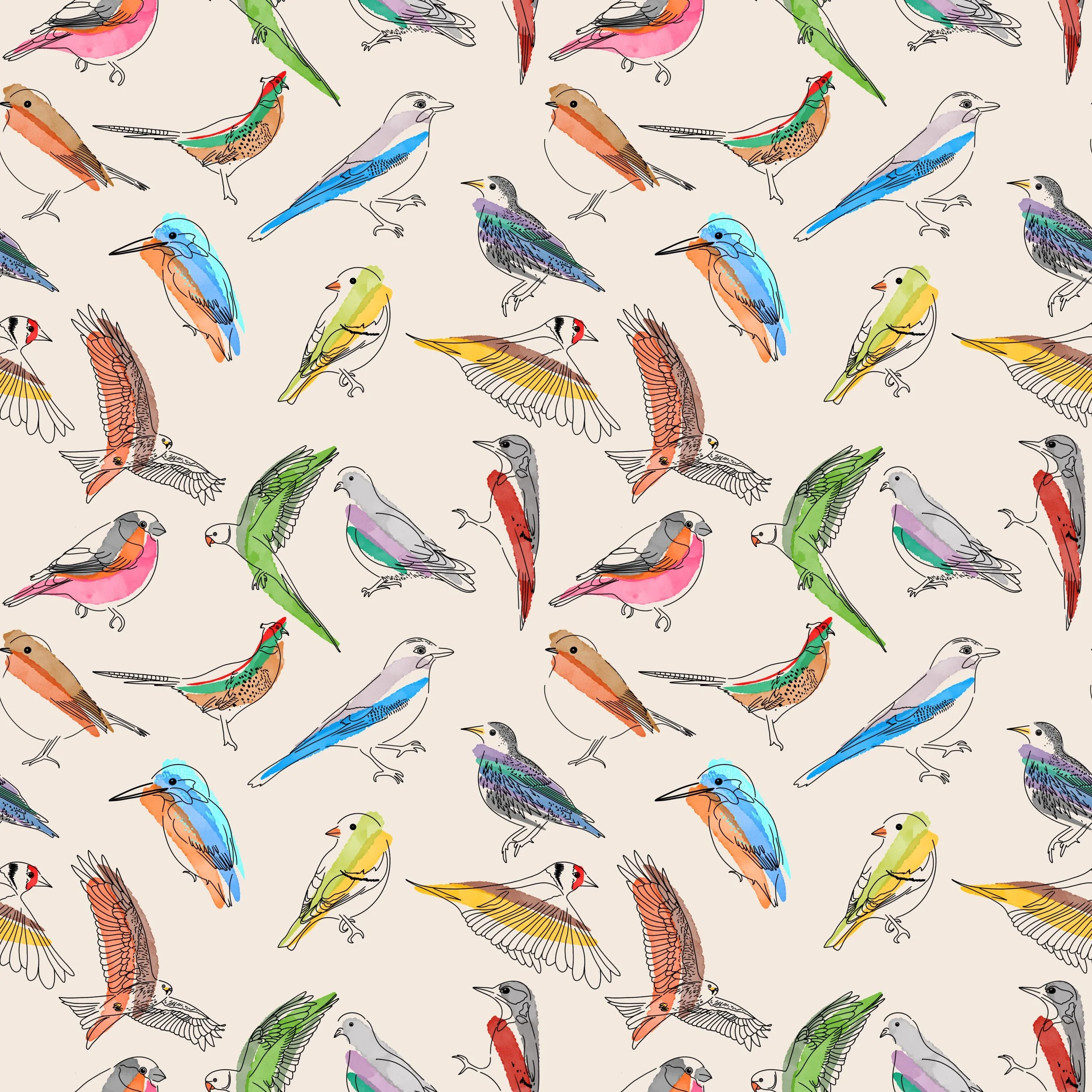 British Garden Birds.JPG