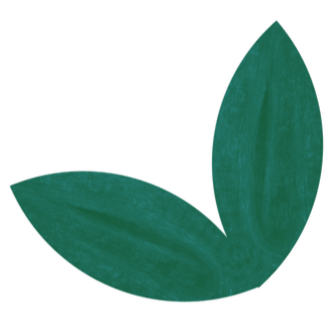 Two green leaves with visible veins, arranged in a curved shape