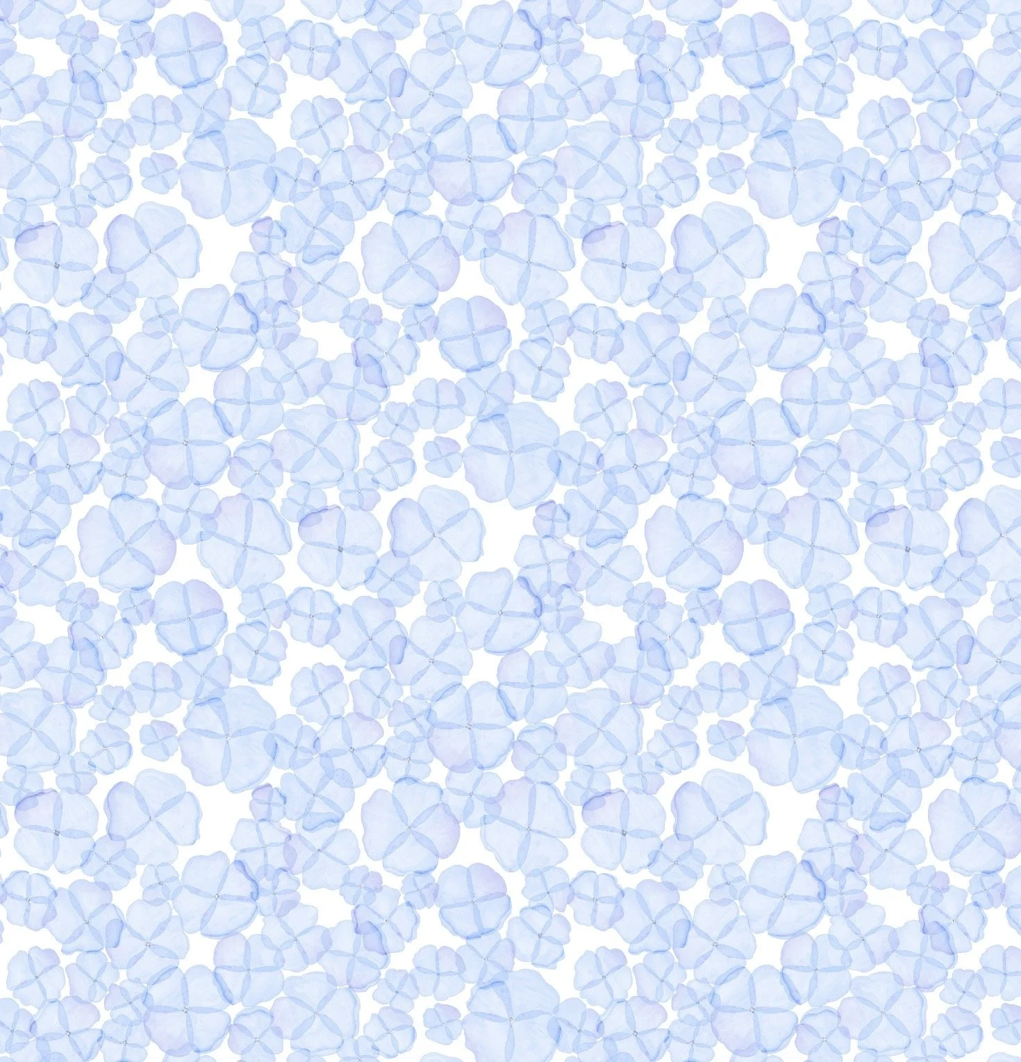 Blue Hydrangea Petals Crop.jpg