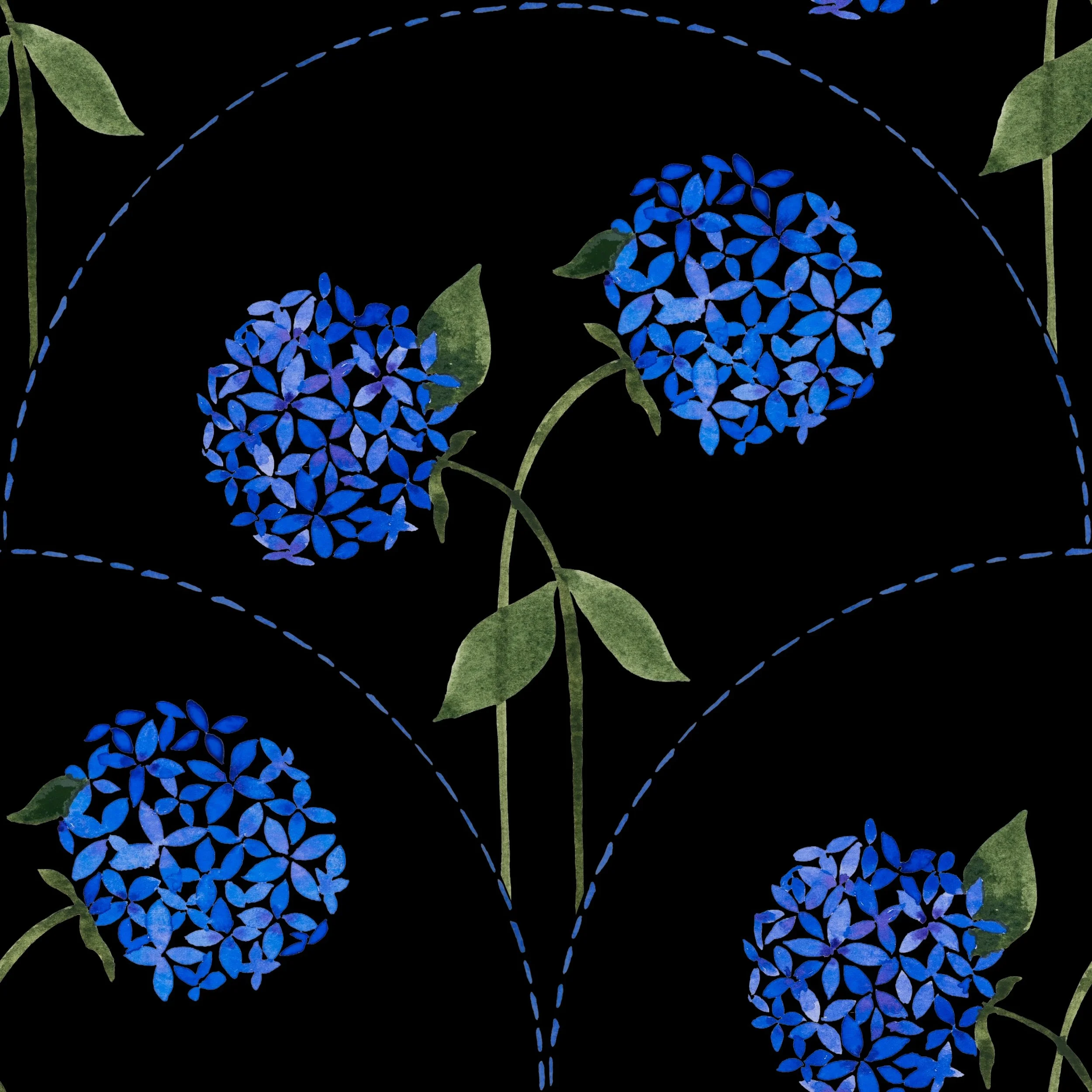 Blue Hydrangea Scallop - On Black