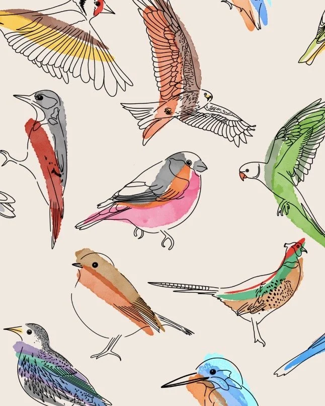British Garden Birds Close Up.jpg