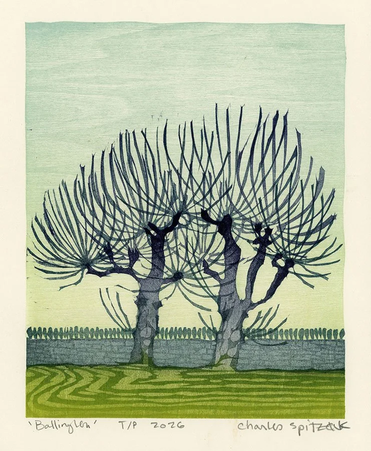 Ballinglen, a woodcut print by Charles Spitzack depicting pollarded trees, a stone wall, and a green field in County Mayo, Ireland.