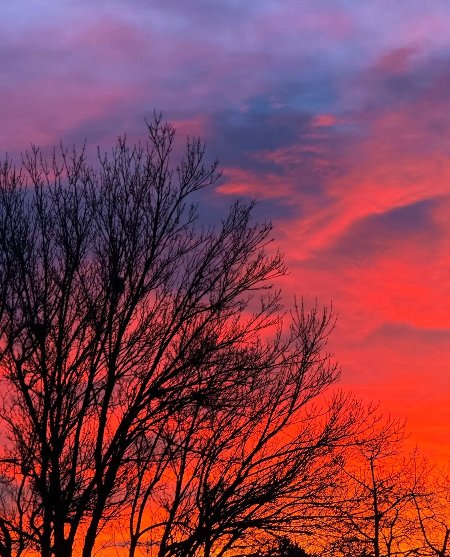 11/365
Today&rsquo;s sunrise!!! &hearts;️