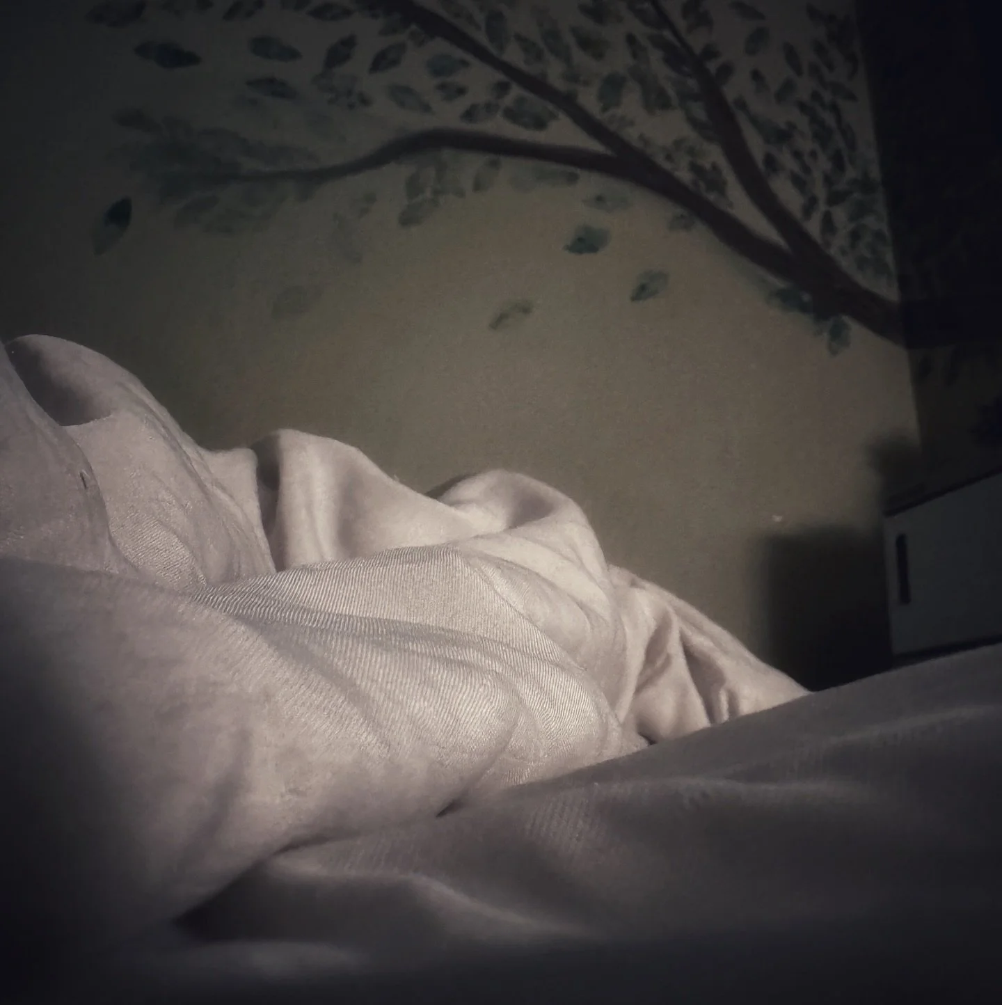 16/365
Massage!!! I&rsquo;m not always grateful while getting it done but afterwards feels AMAZING!!! Boyce Medical massage is the real deal if you are looking to break up tissue and regain greater movement!! If your intention is relaxation&hellip; g