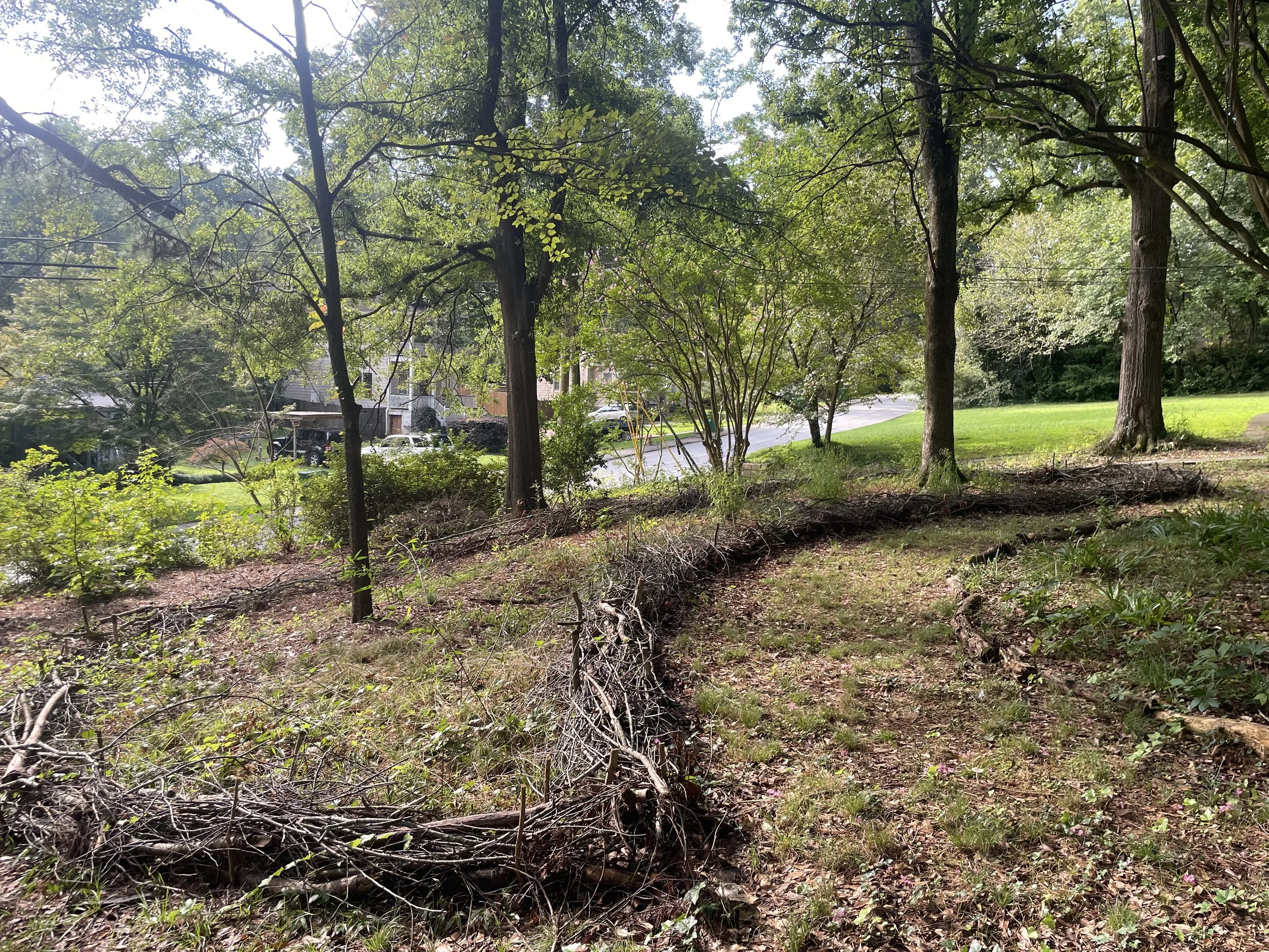 waddled brush edge, scottdale