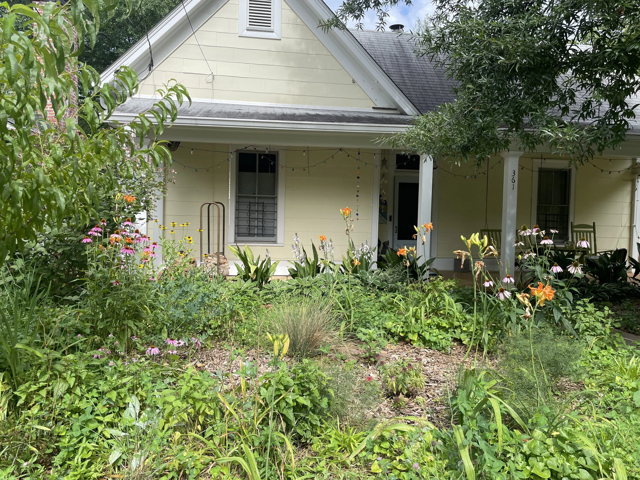 rain garden, lake claire