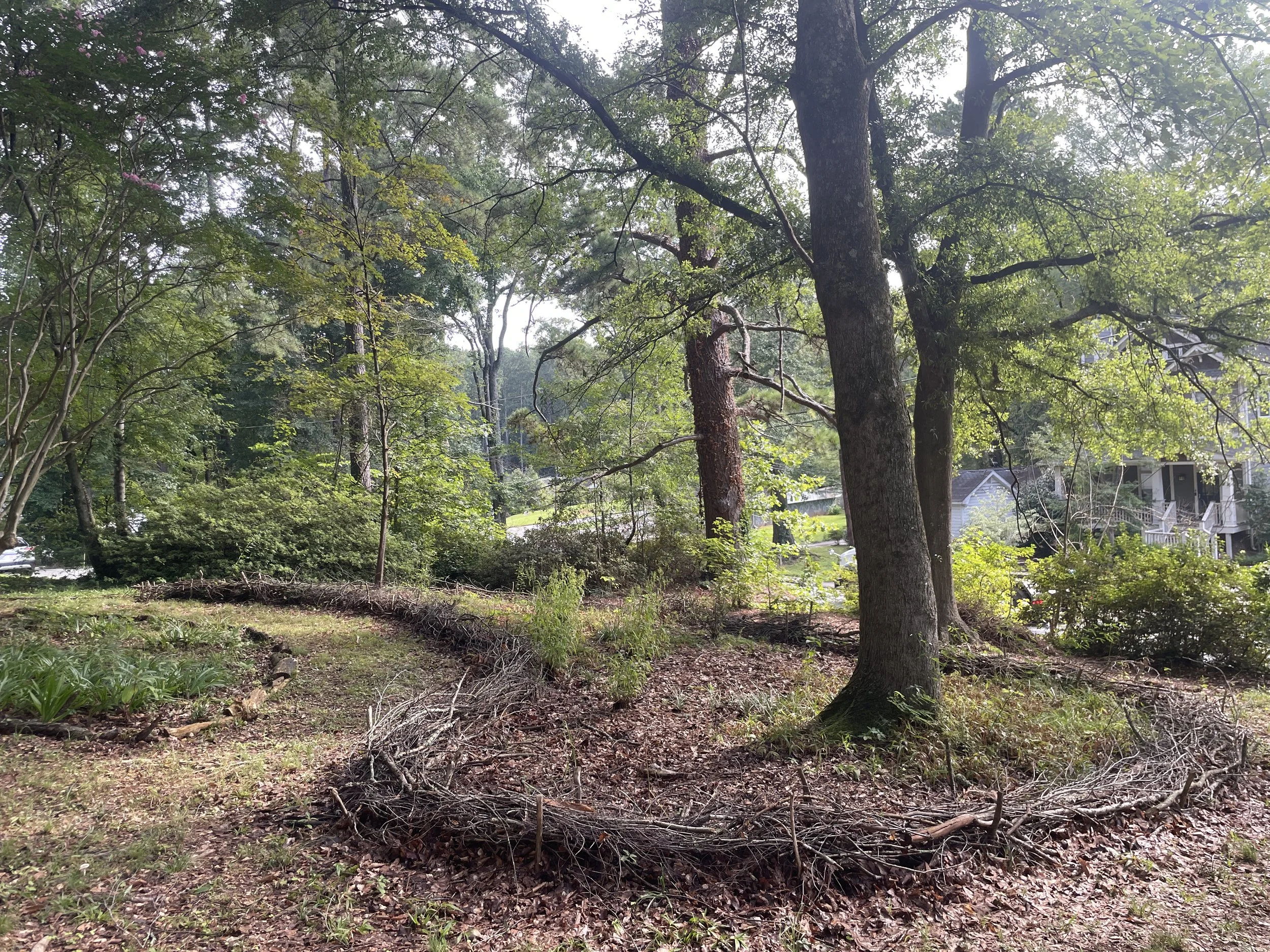 waddled brush edge, scottdale