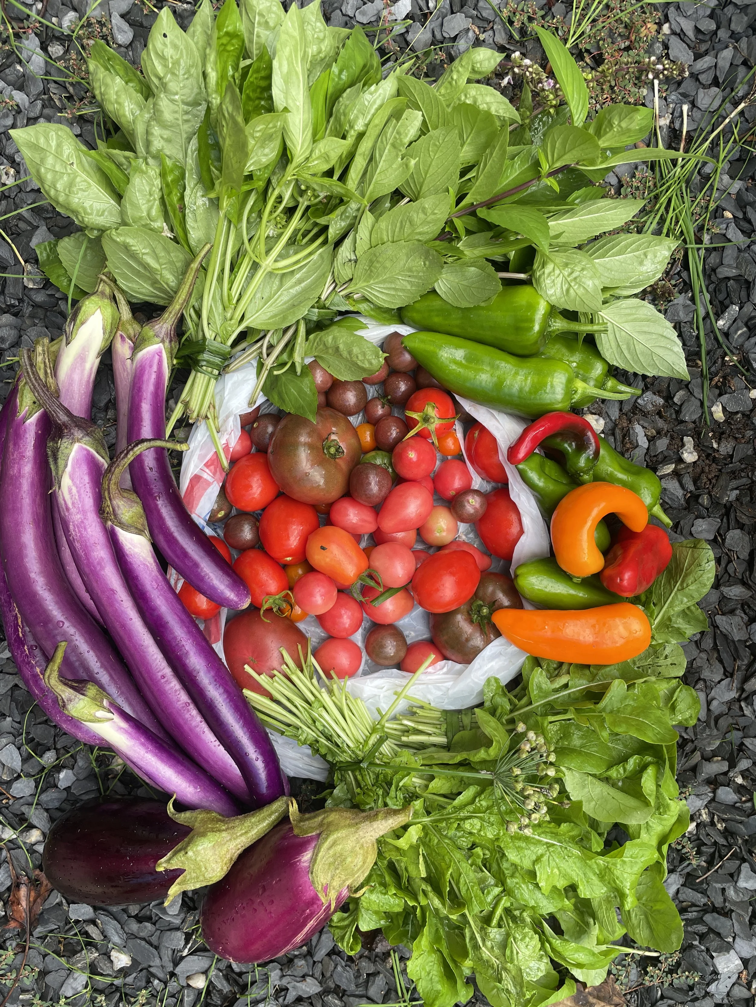 summer harvest, buckhead