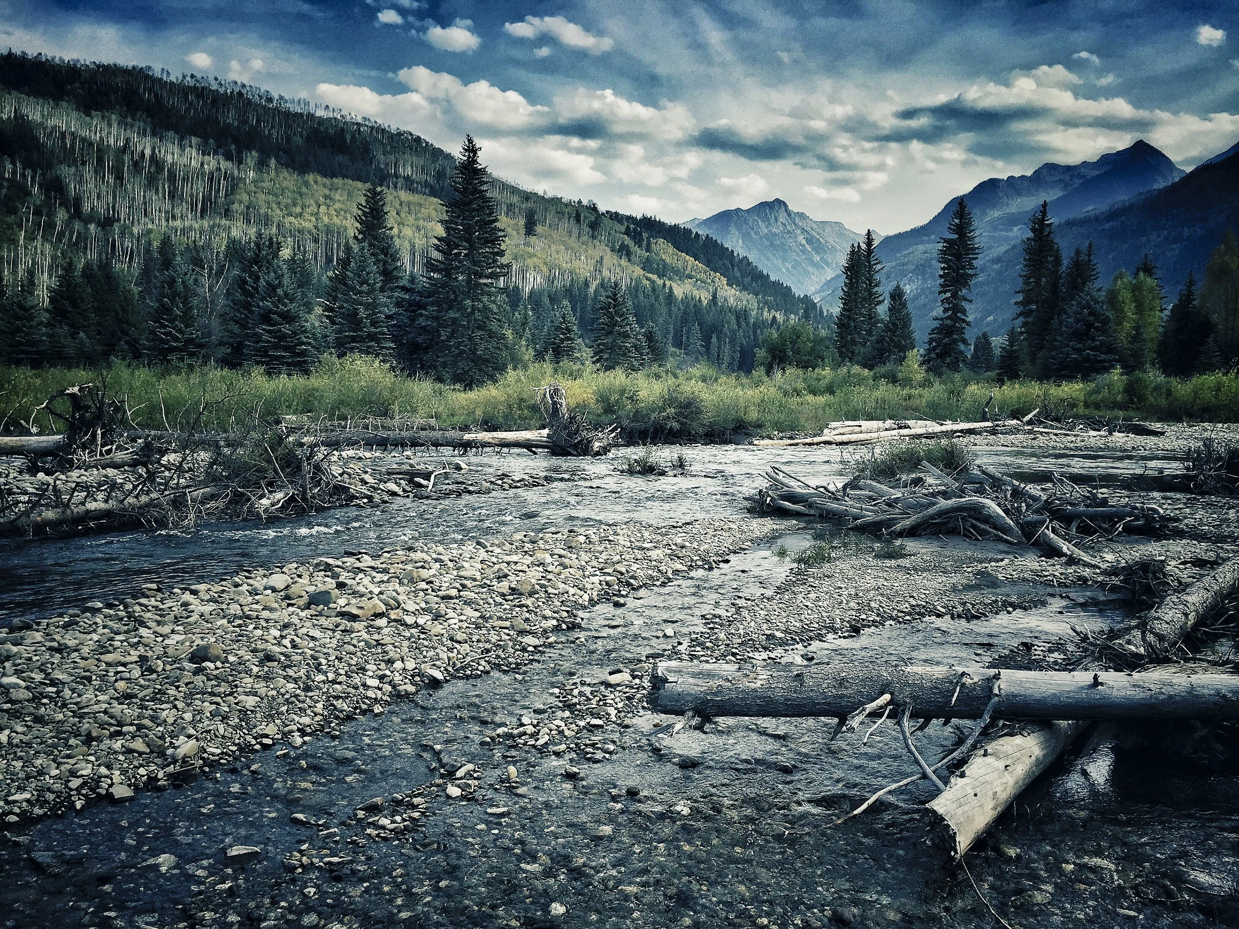 RLP_20150913_0082.jpg