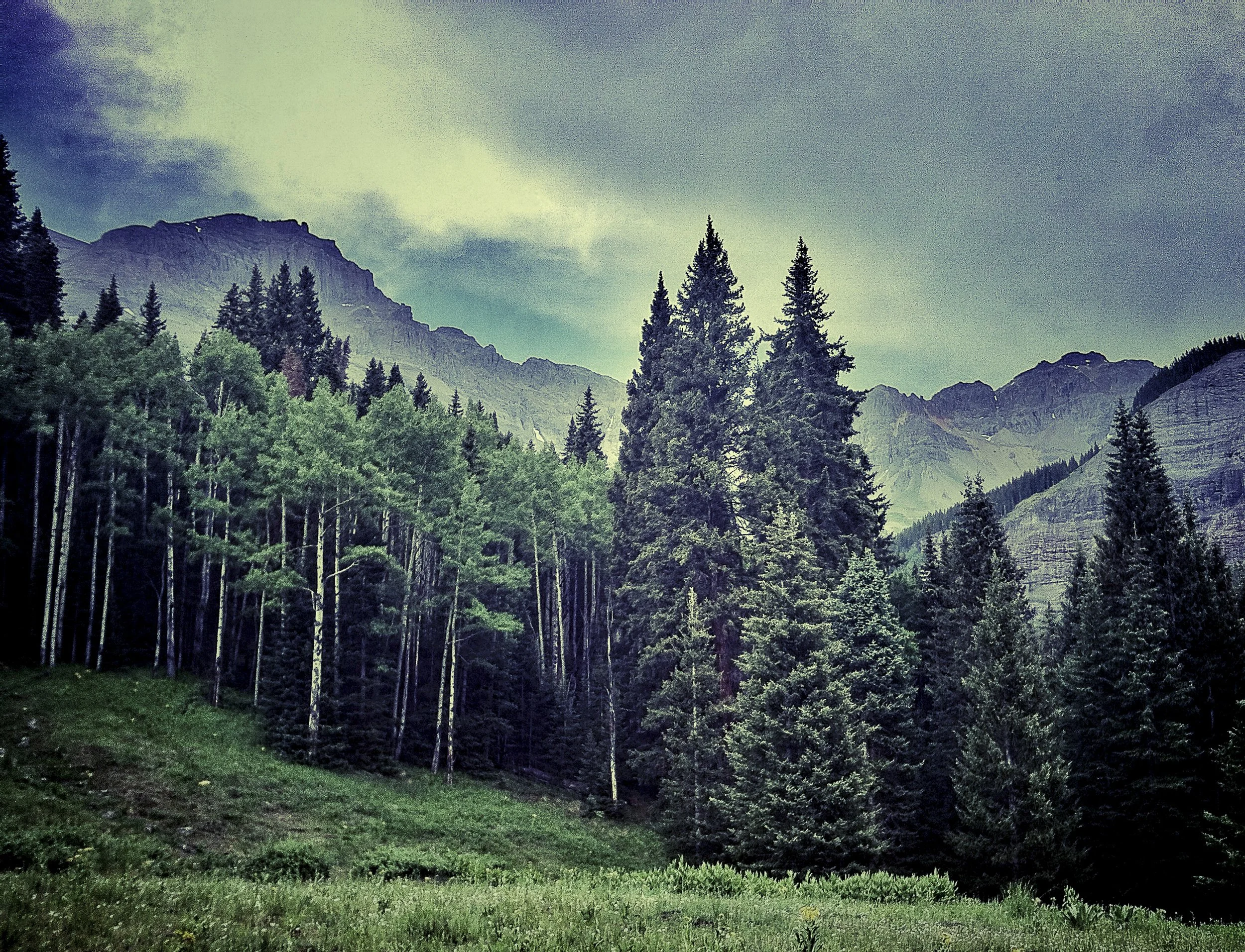 Mill Creek Trail, Telluride, Colorado.