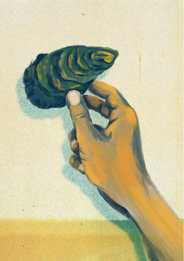 Illustration commisioned by 'De uitkomst'