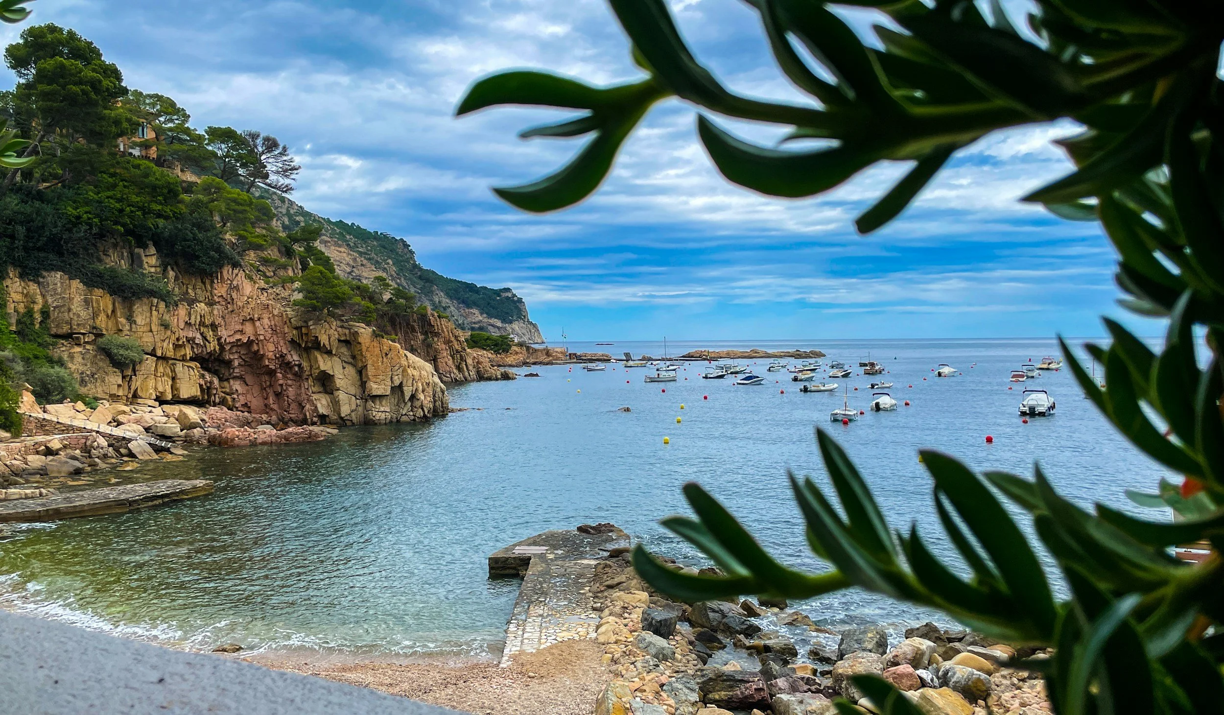 Coastal scene with rocky cliffs, calm water with boats, and cloudy sky, partially framed by leafy green branches.