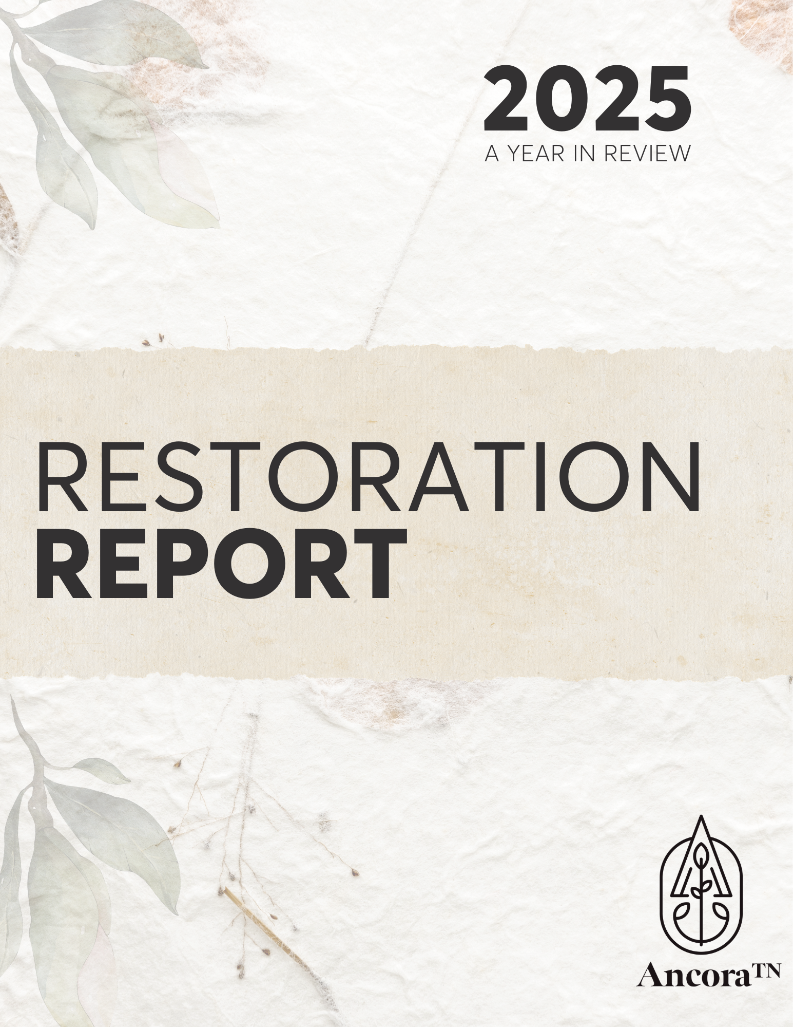 2025 Annual Report (1).png