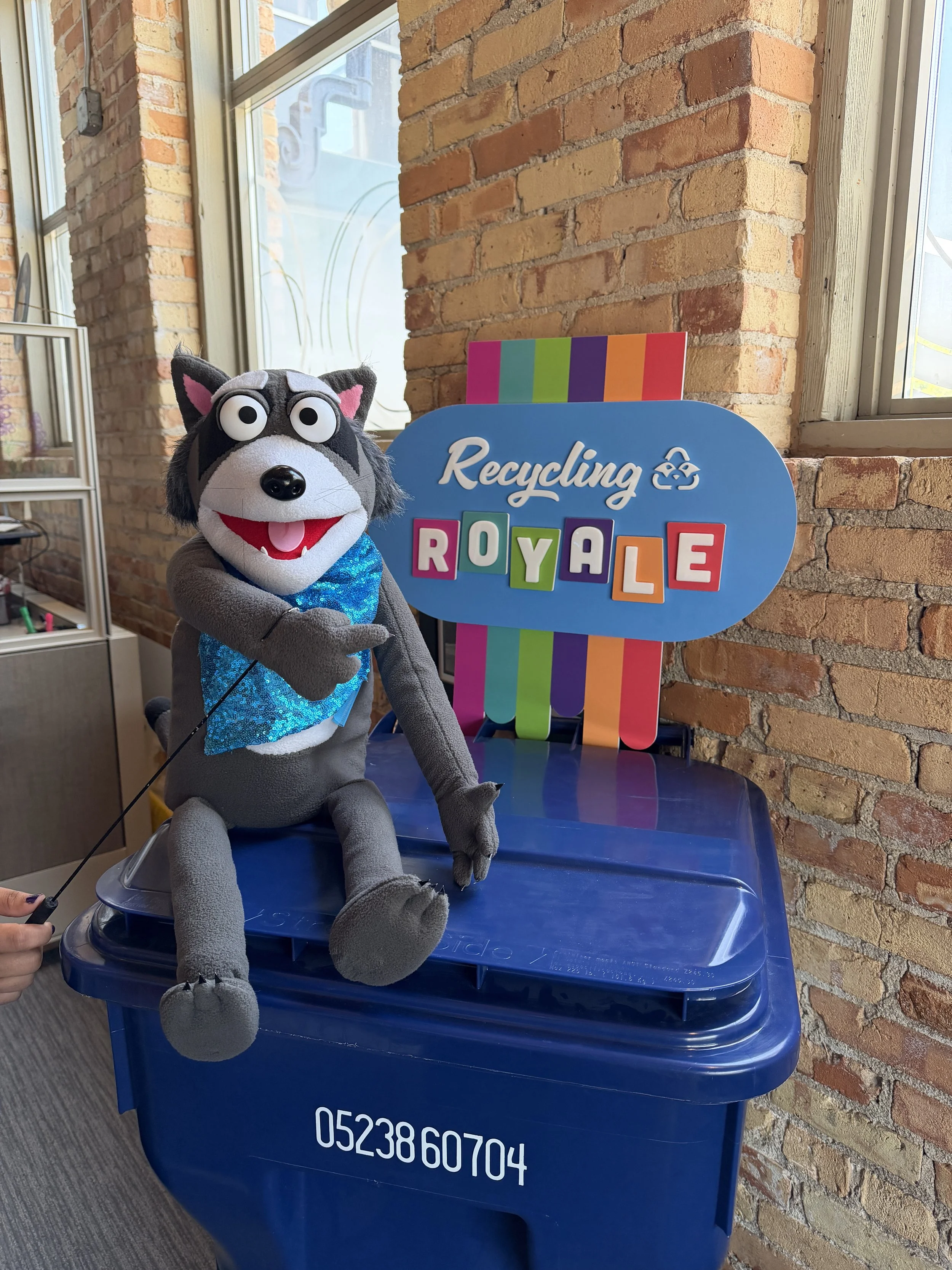 Recycling Raccoons