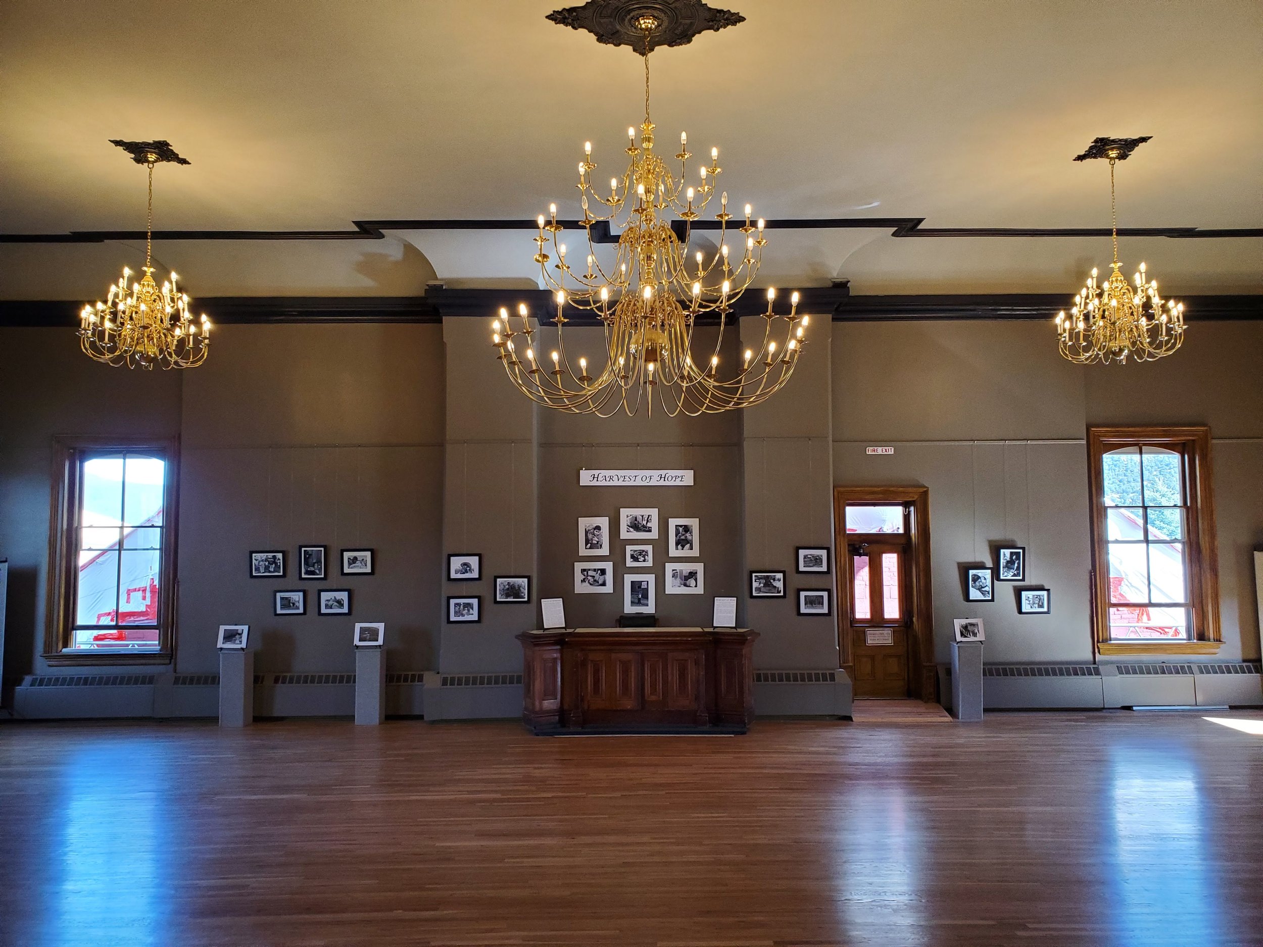 Annual Meeting & Volunteer Bash