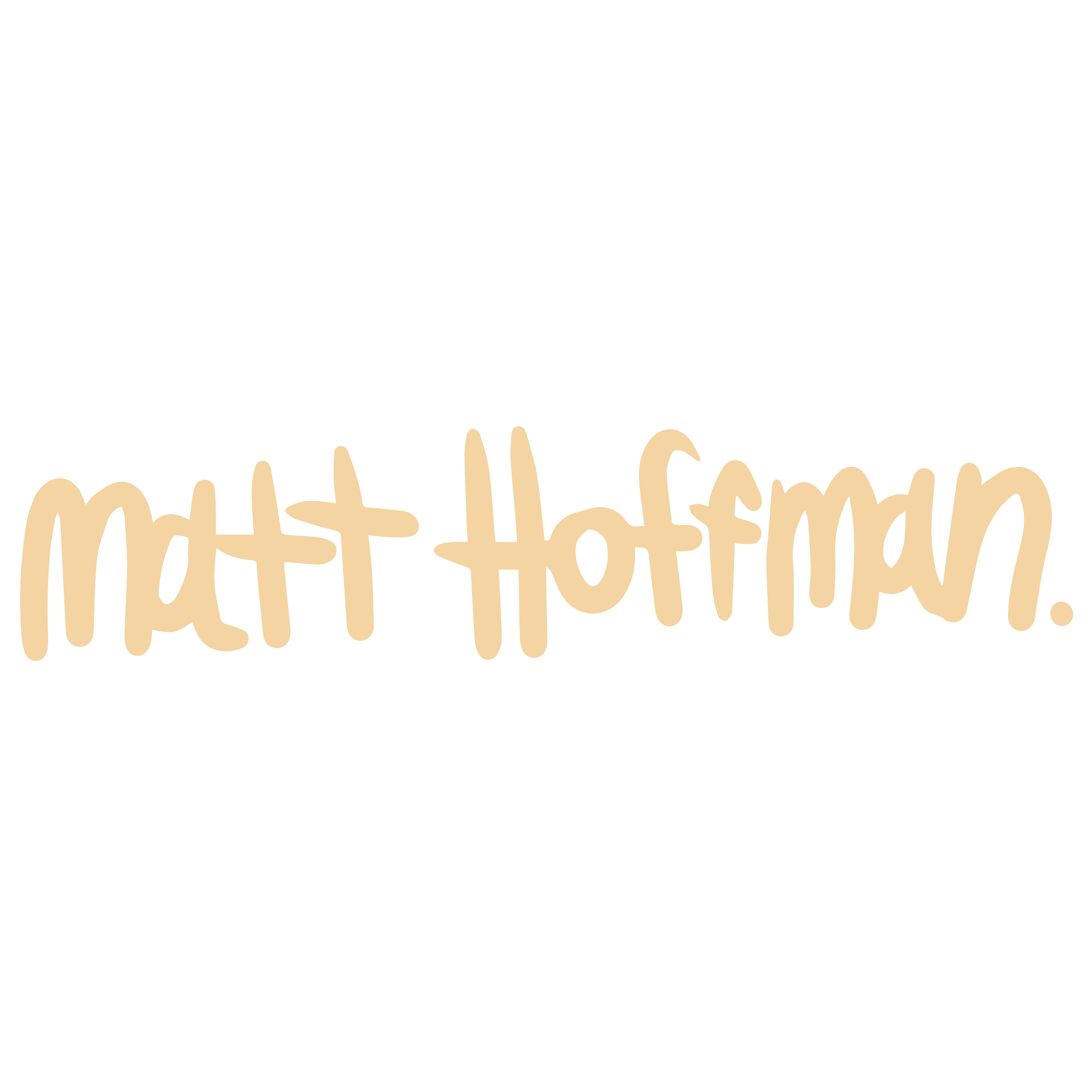 Matt Hoffman