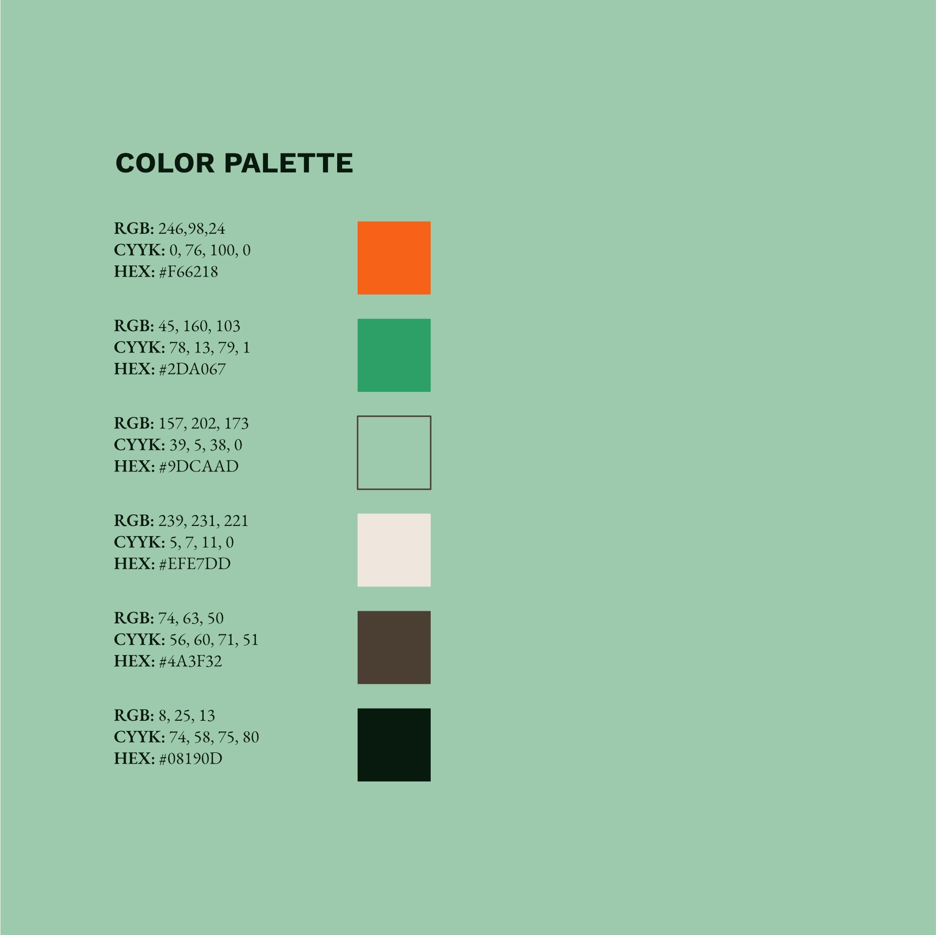 Color Palette.jpg