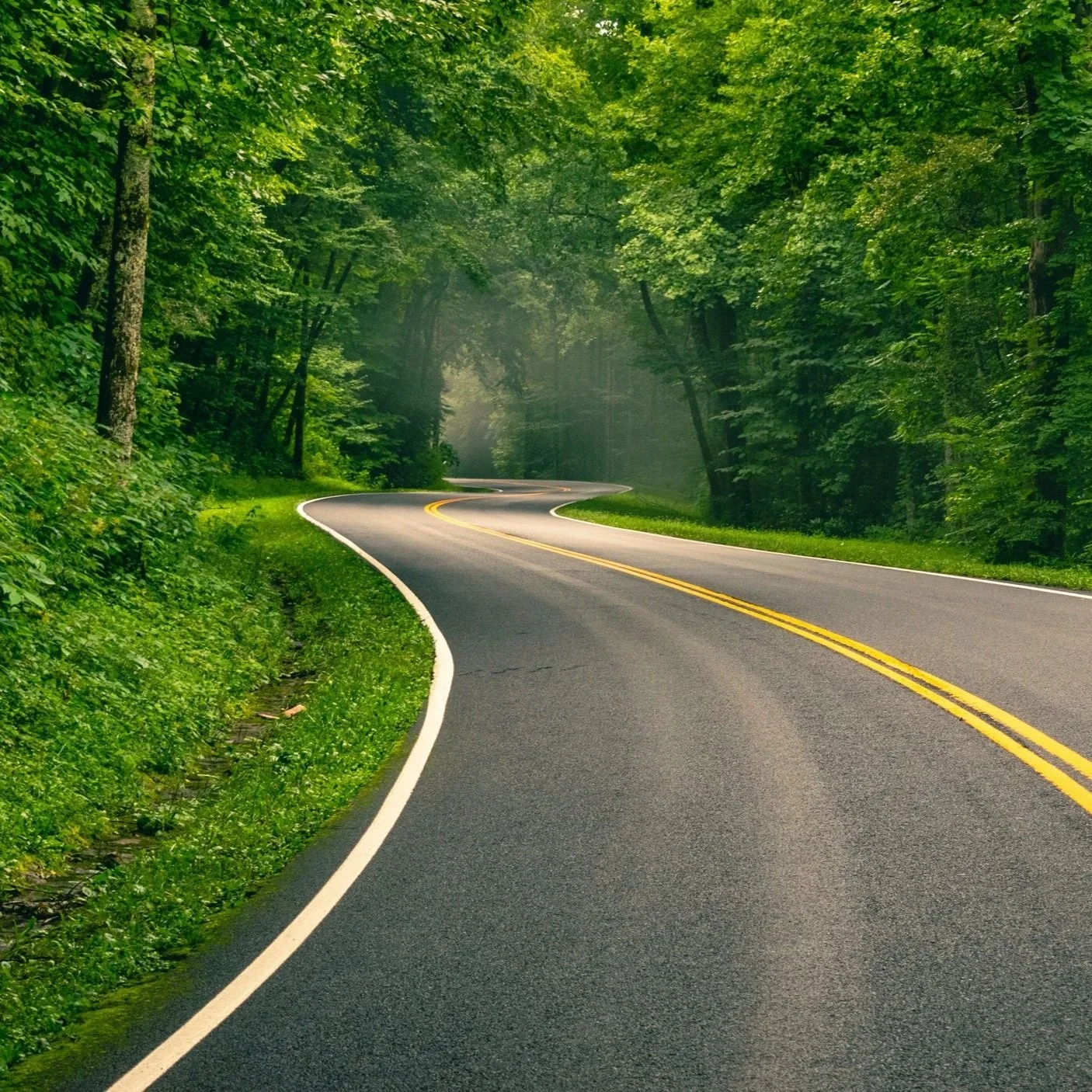 On the Road with Jesus (Luke 9-19)