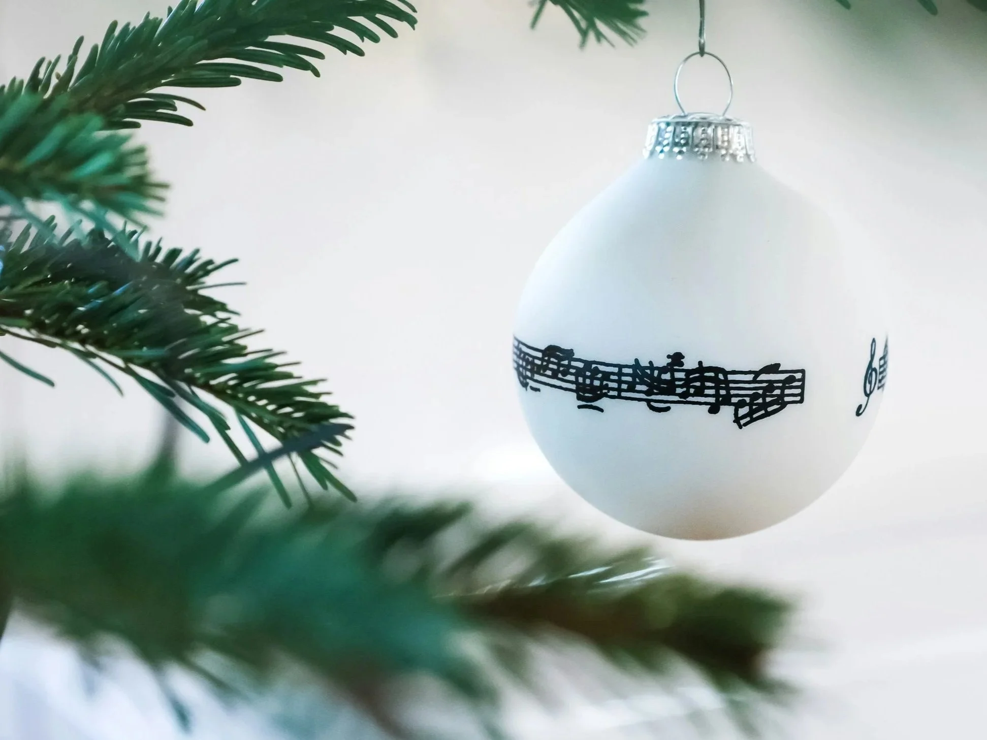 Carols at Stromlo Forest Anglican College
