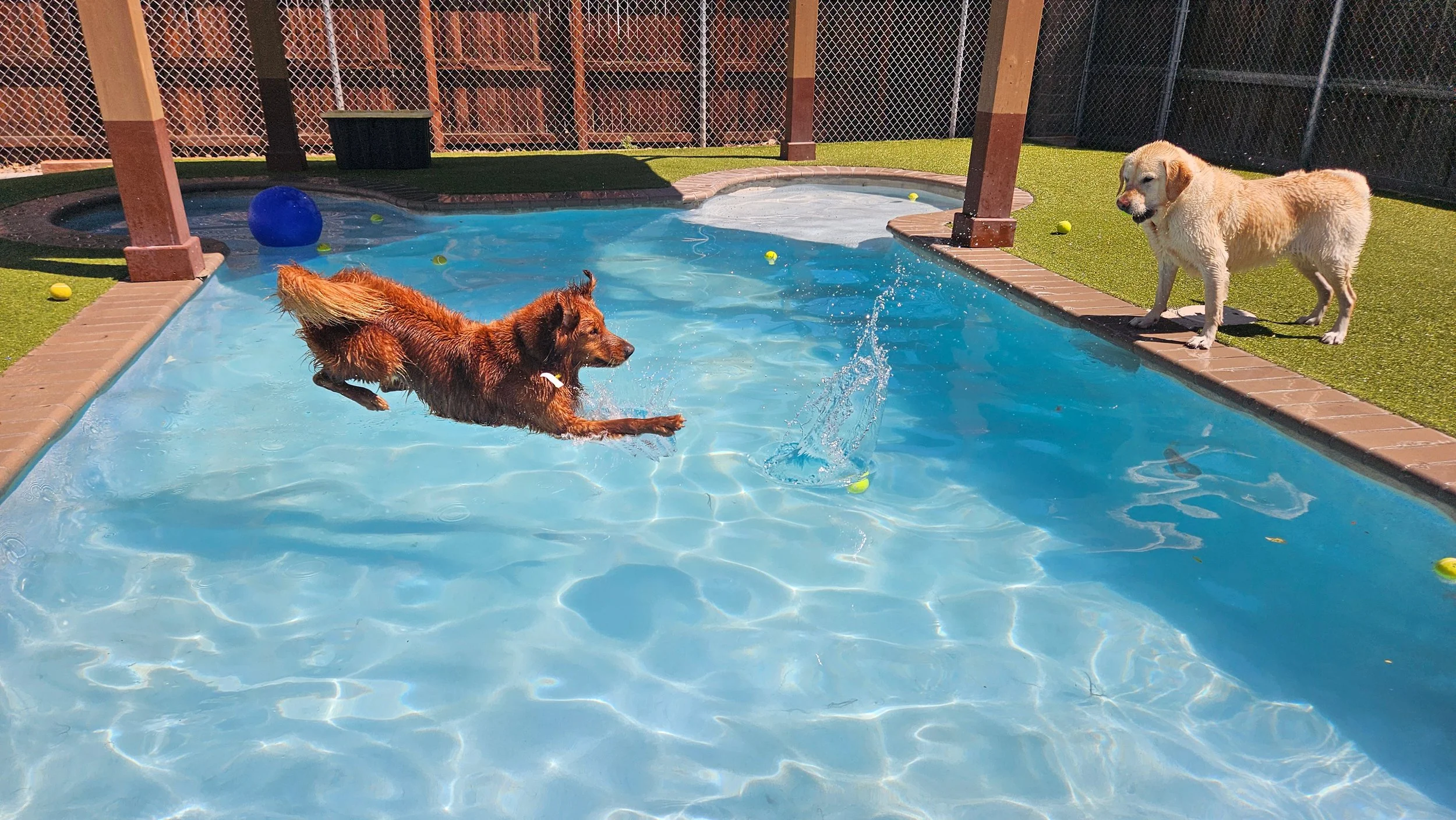 Did somebody say pool party?!